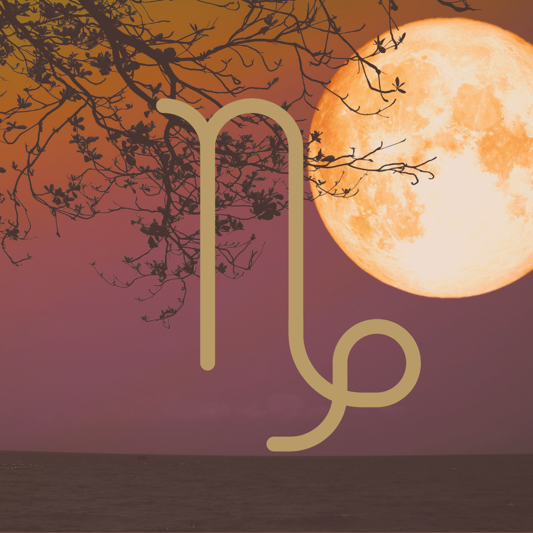 Full Moon in Capricorn Ritual Guide — Temple & The Moon