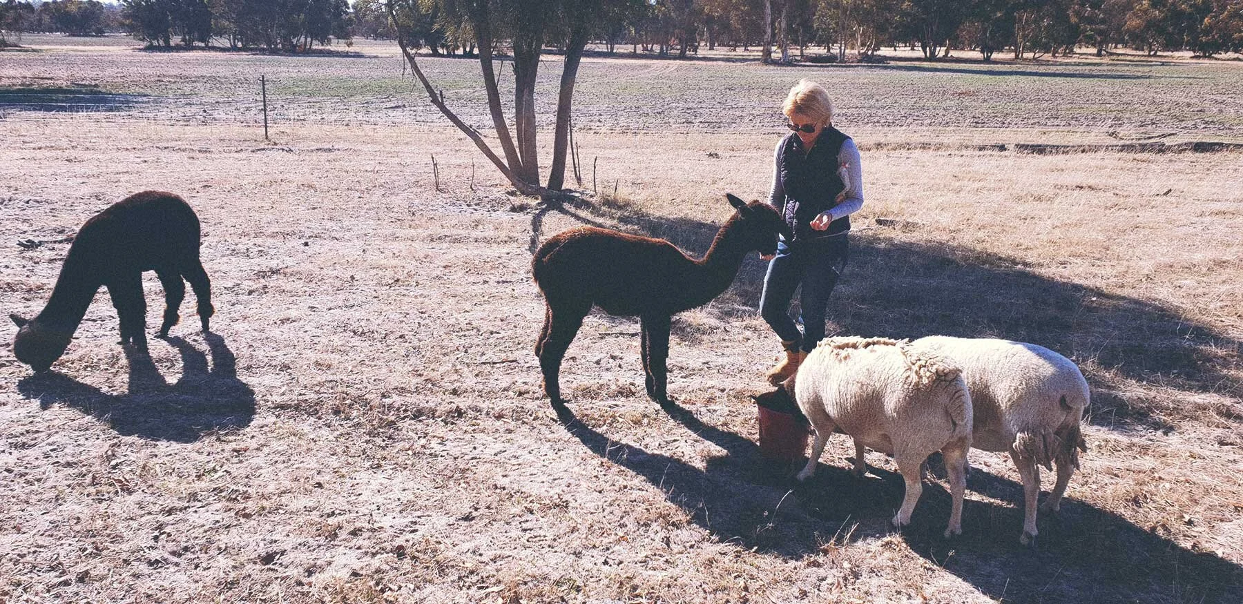 OneGateFarm07.jpg