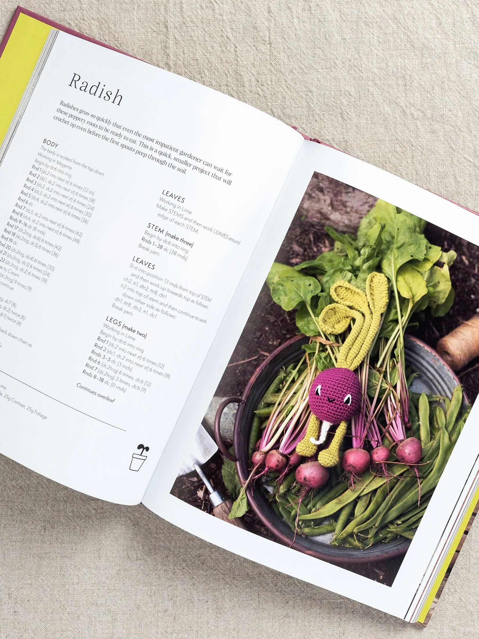 Alexandra's Garden Vegetables Kerry Lord Flock-5202.jpg