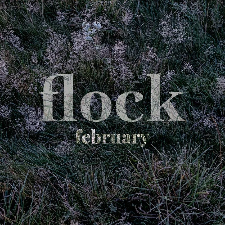 Flock Playlist February 2026