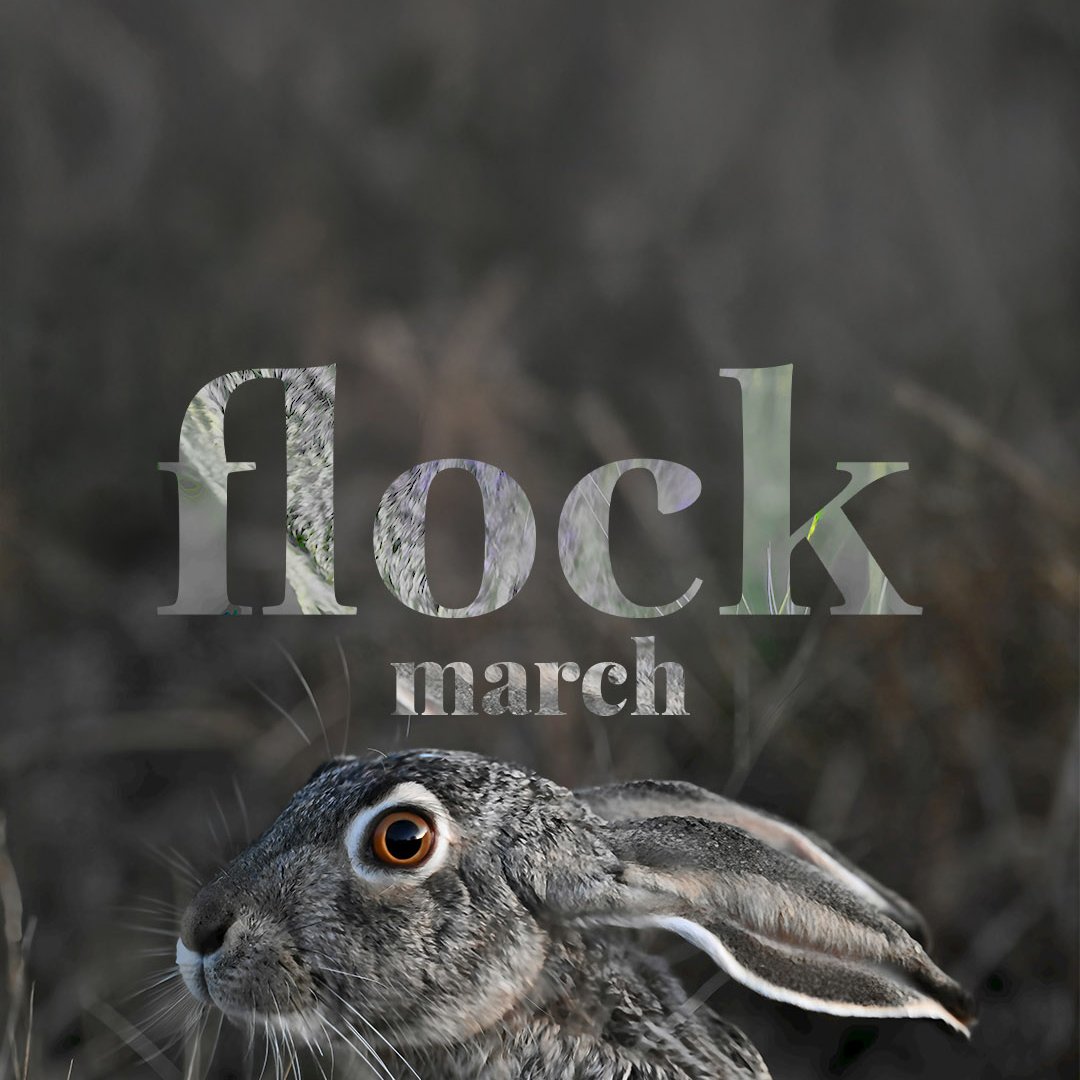 Flock Playlist March 2026
