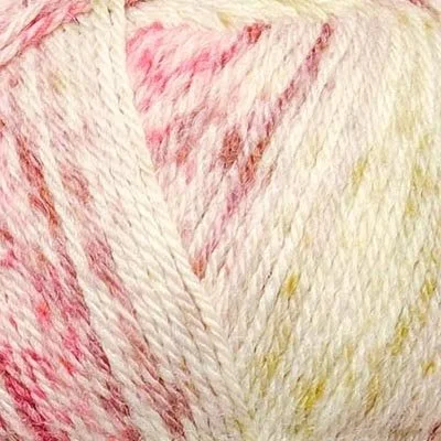 Rosa Pomar Mondim Sock Flock - 208.jpg