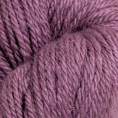 Blackcurrant Purple