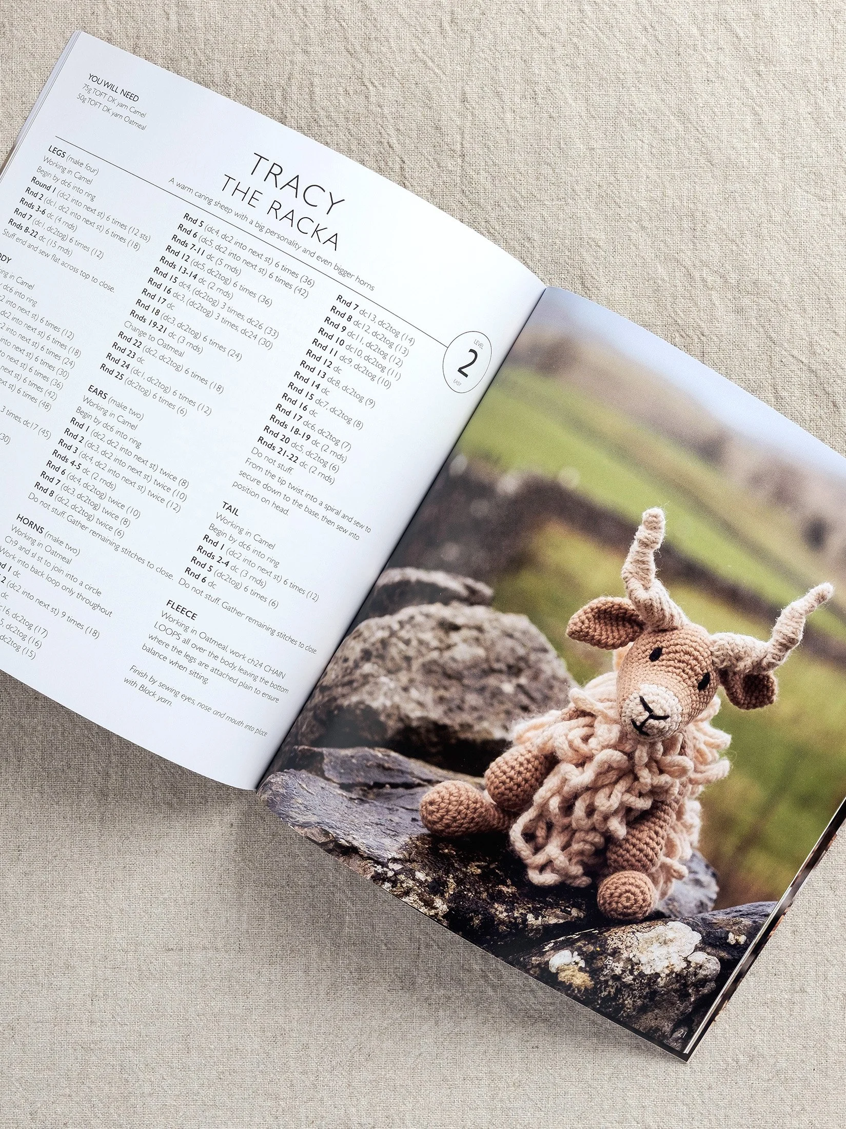Toft Sheep Book Flock-5161.jpg