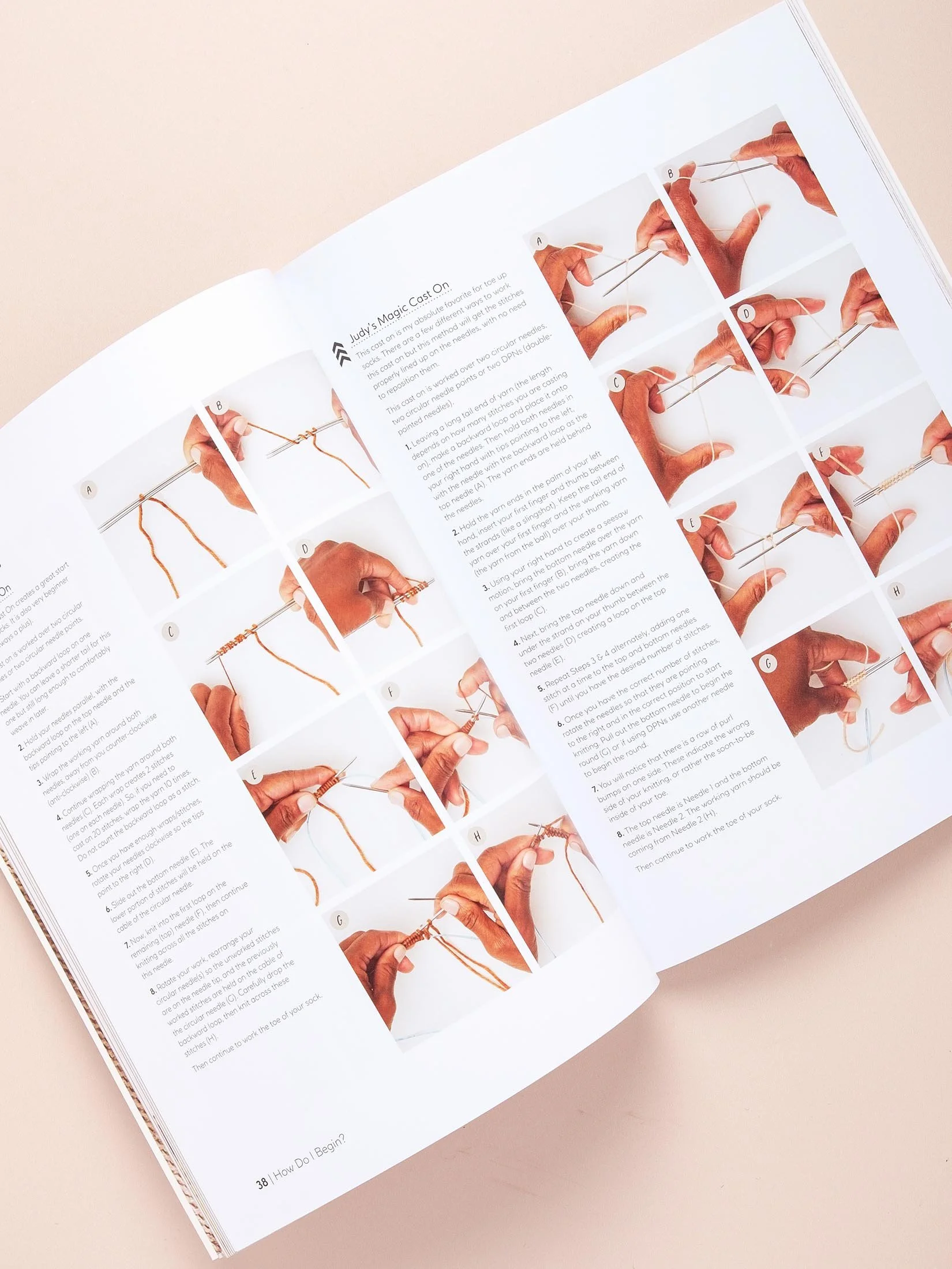 No Fear Sock Knitting DeSantis Flock 2958.jpg