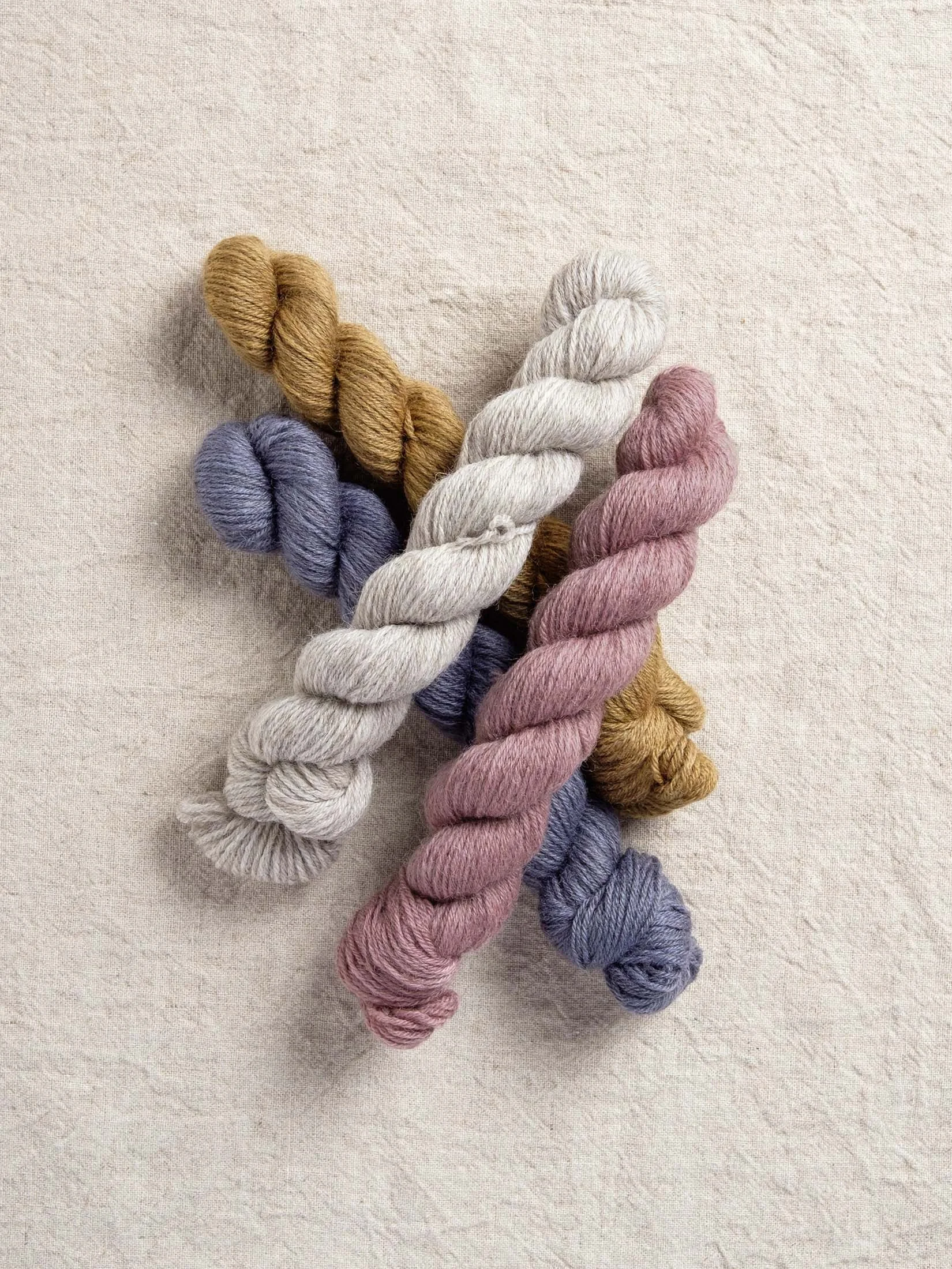 Annabel Williams Darwin 4-Ply Mini Skein Flock-4390.jpg