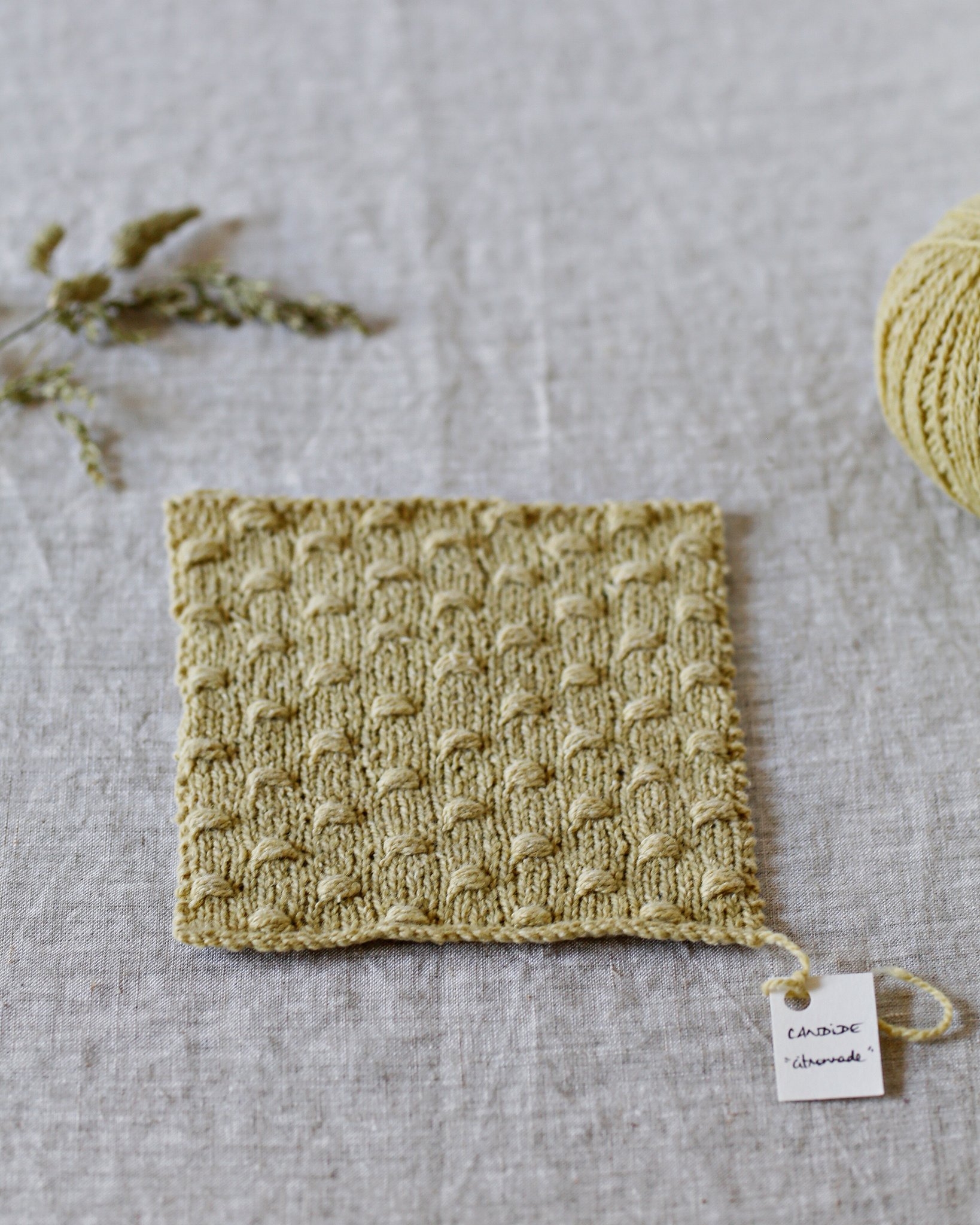 Ech candide citronnade.jpg