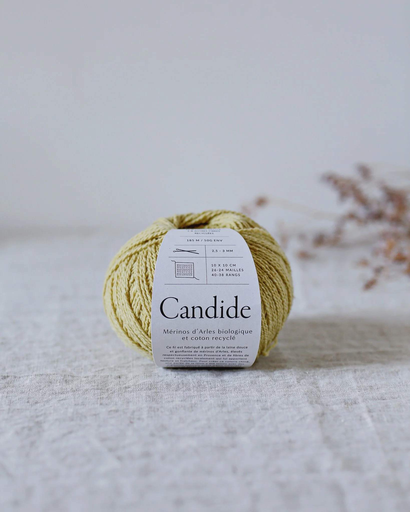 Candide citronnade étiquette.jpg