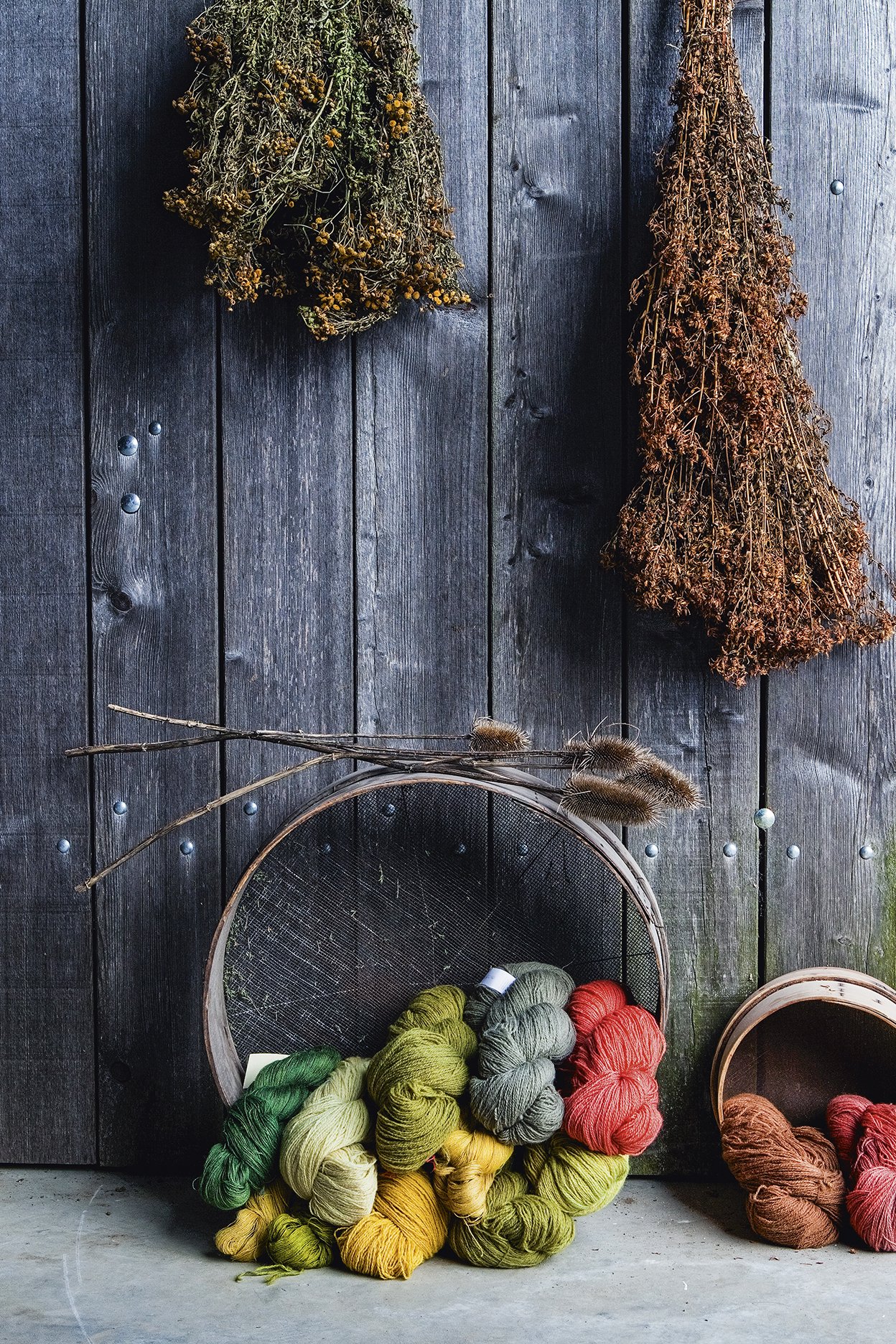 The Colours of Nature by G-uld, English Edition | flock