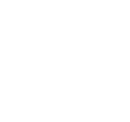 SF Process.png