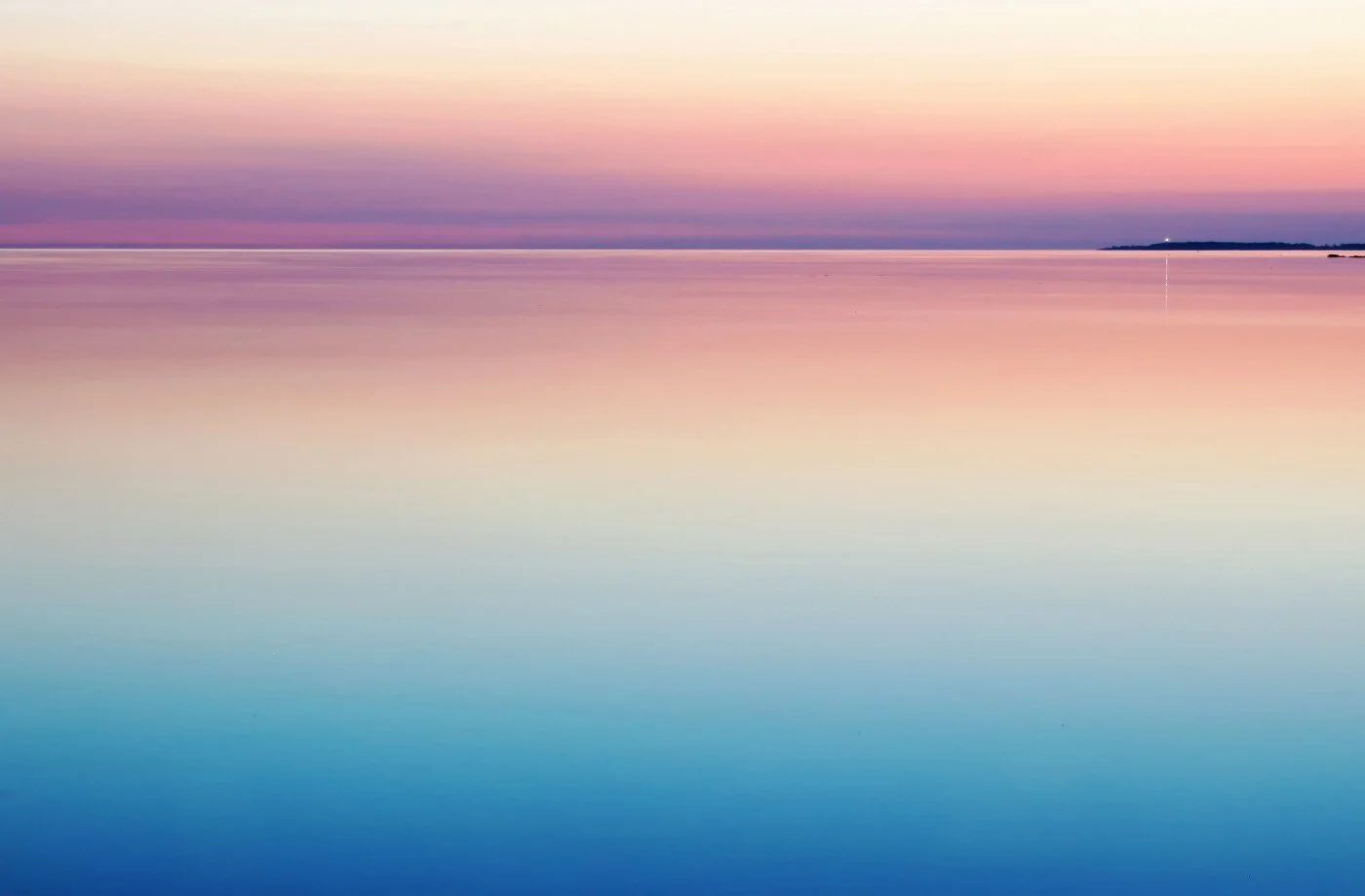 Image courtesy of Harli Marten on Unsplash