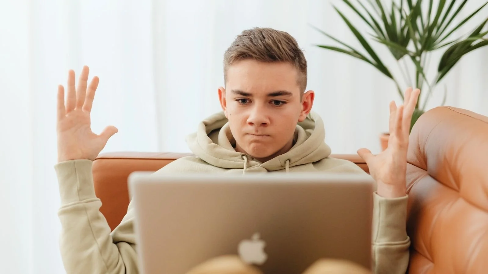 Maak jouw werk plagiaatvrij met plagiaatchecker Scribbr