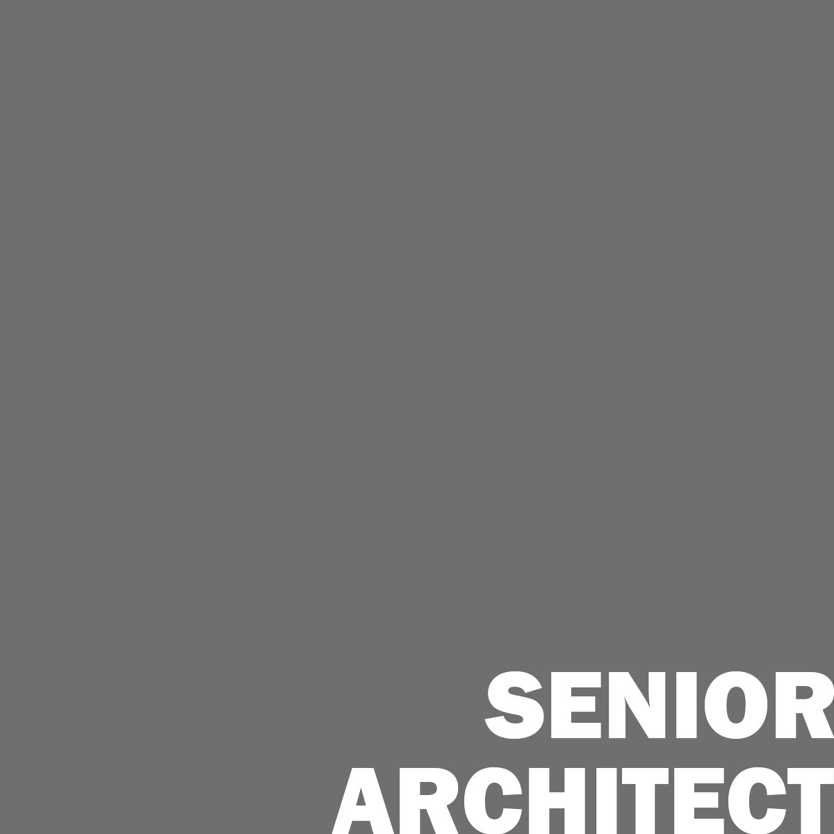 Senior Architect