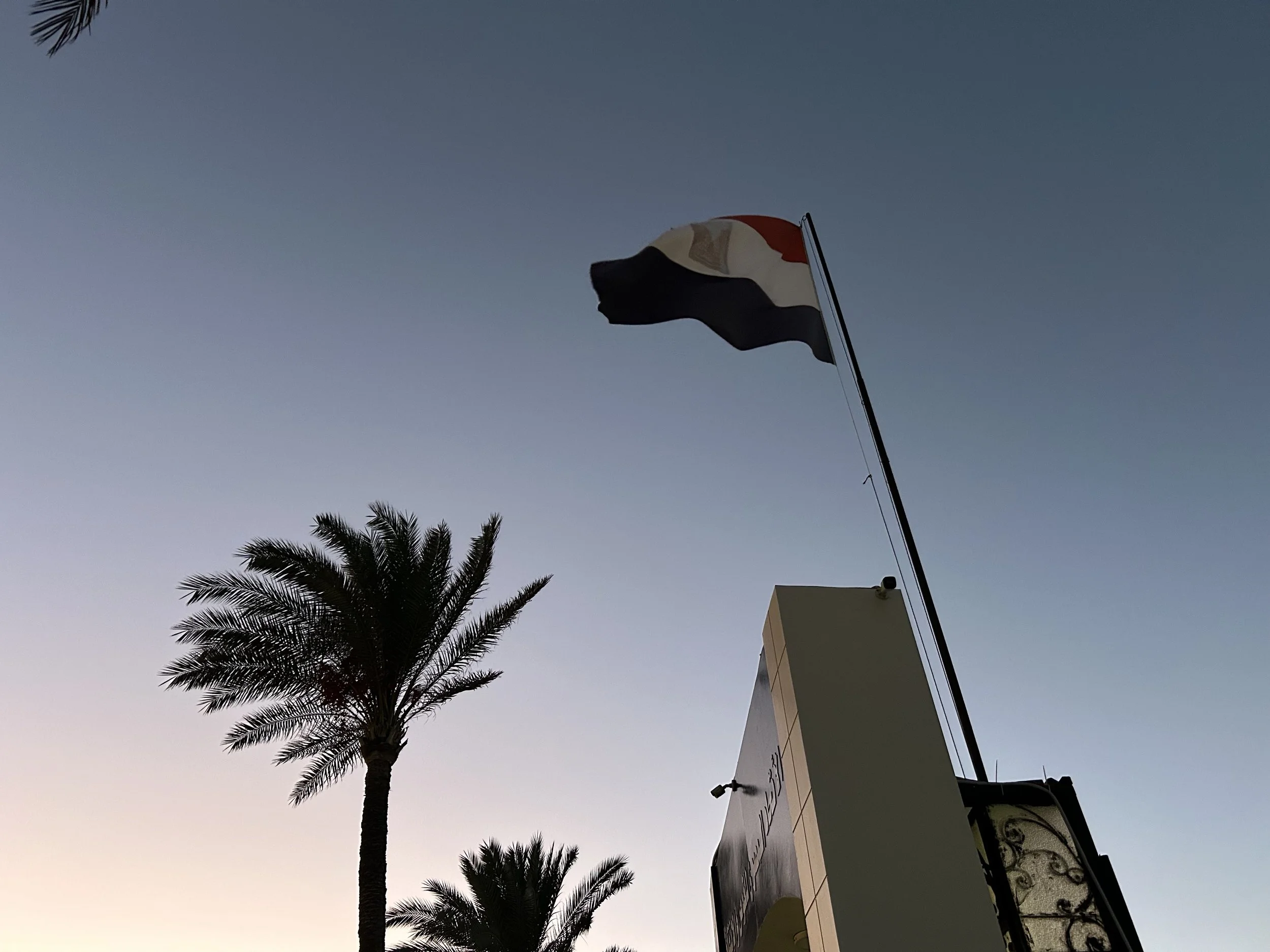 Alexandria: City of Lonely Wonders