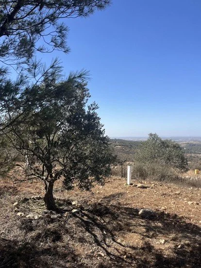 Reconciling with Holy Land