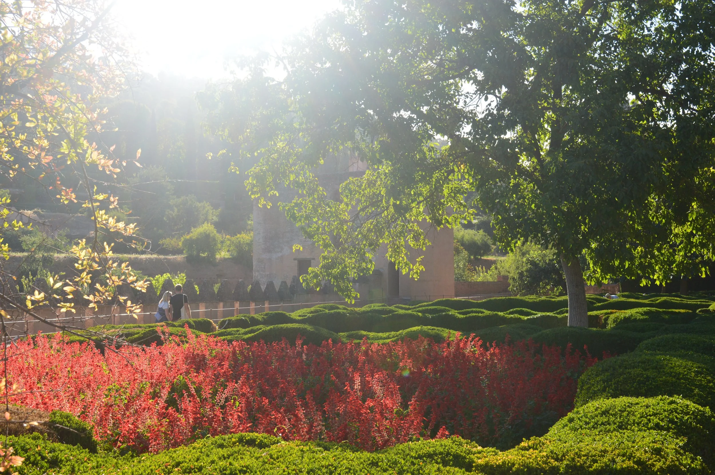 3. Pareja en los jardines.JPG