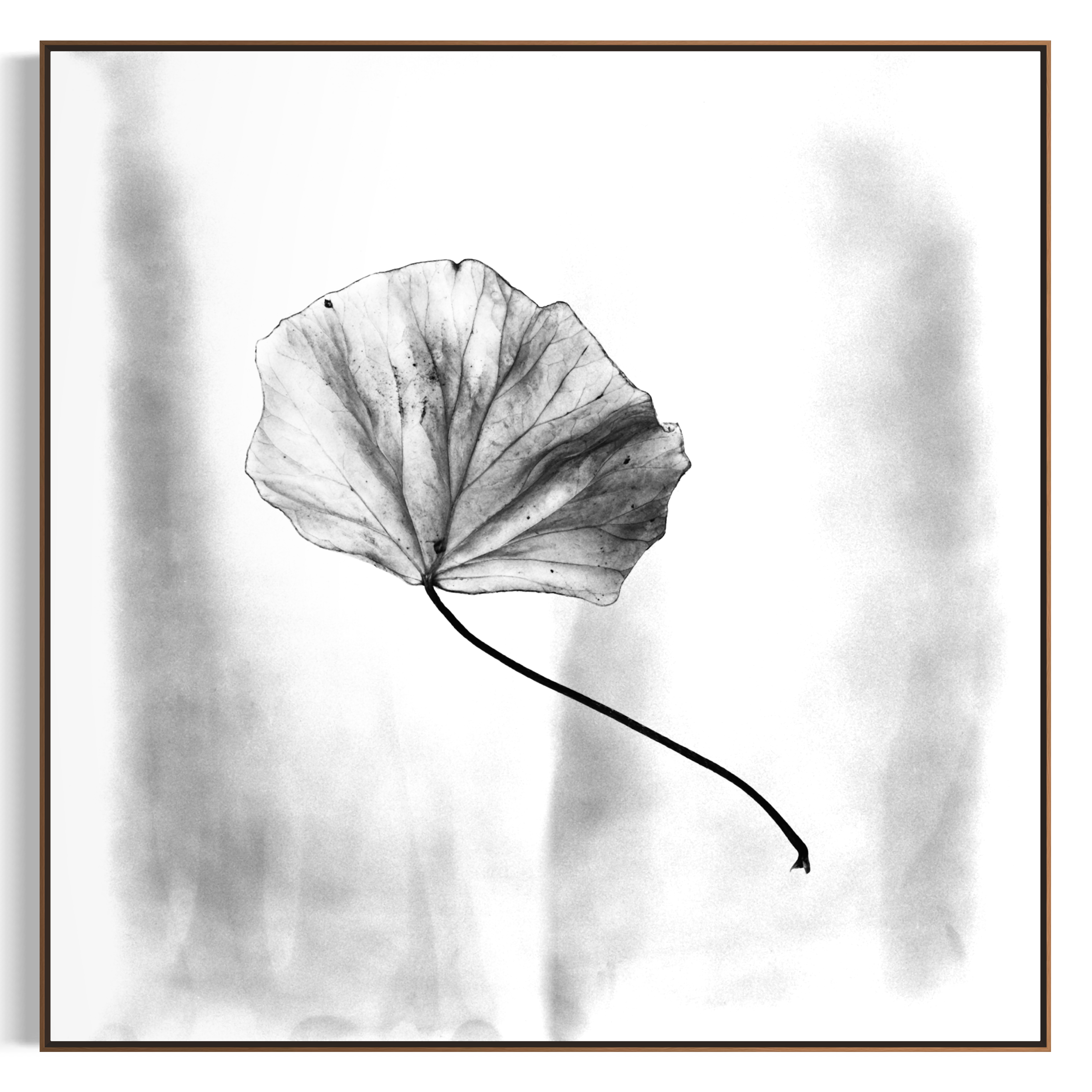 IMG_0707.PNG
