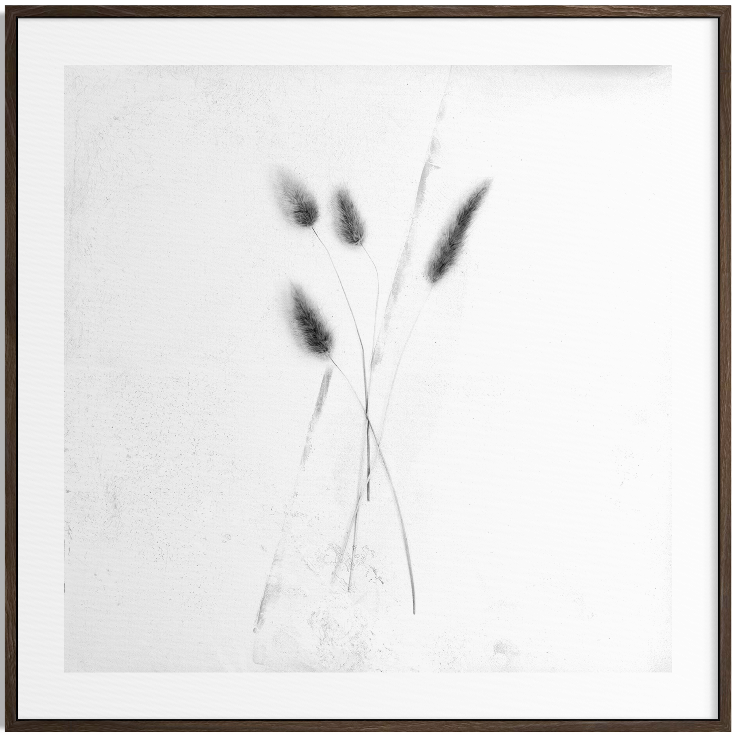 IMG_0025.PNG