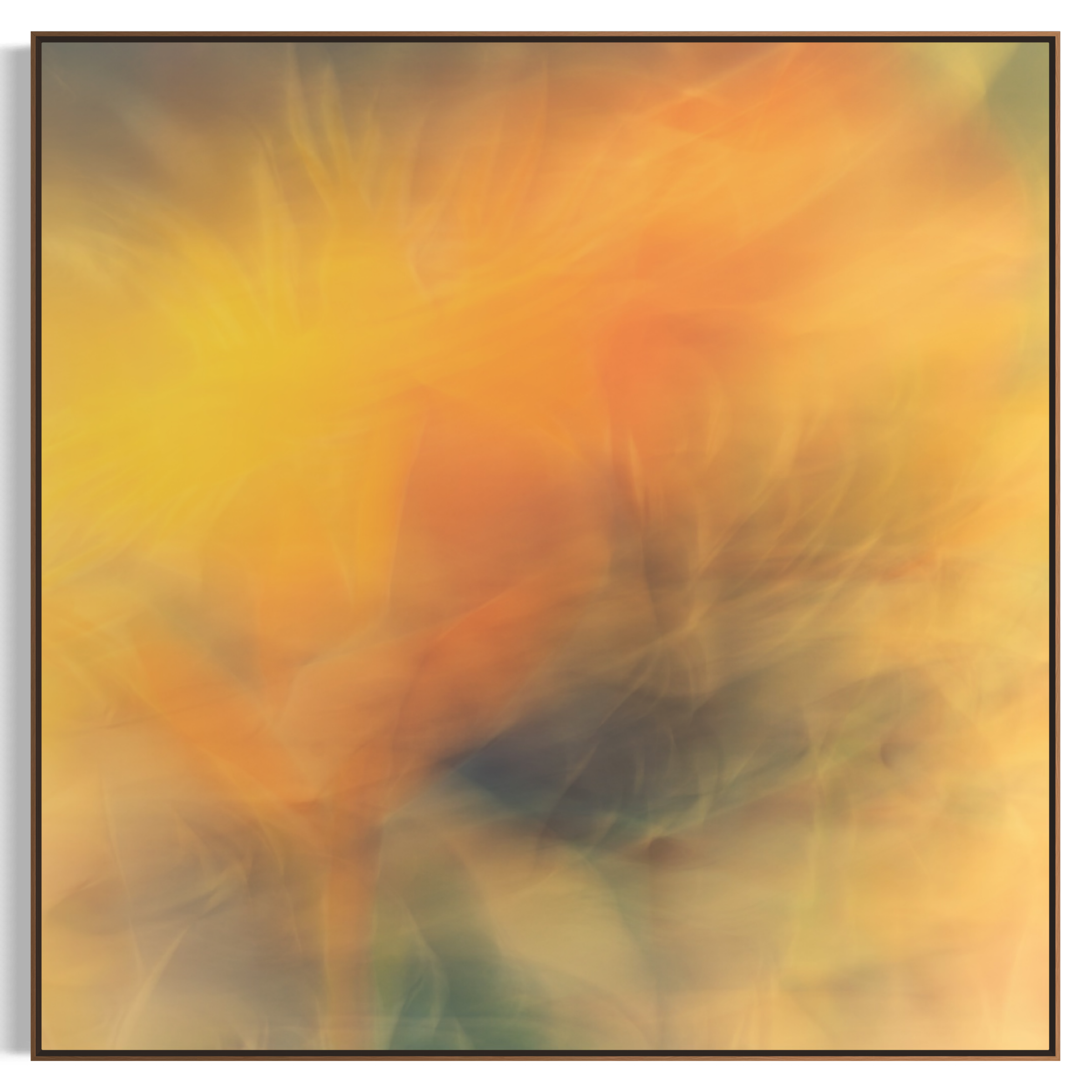 IMG_1809.PNG