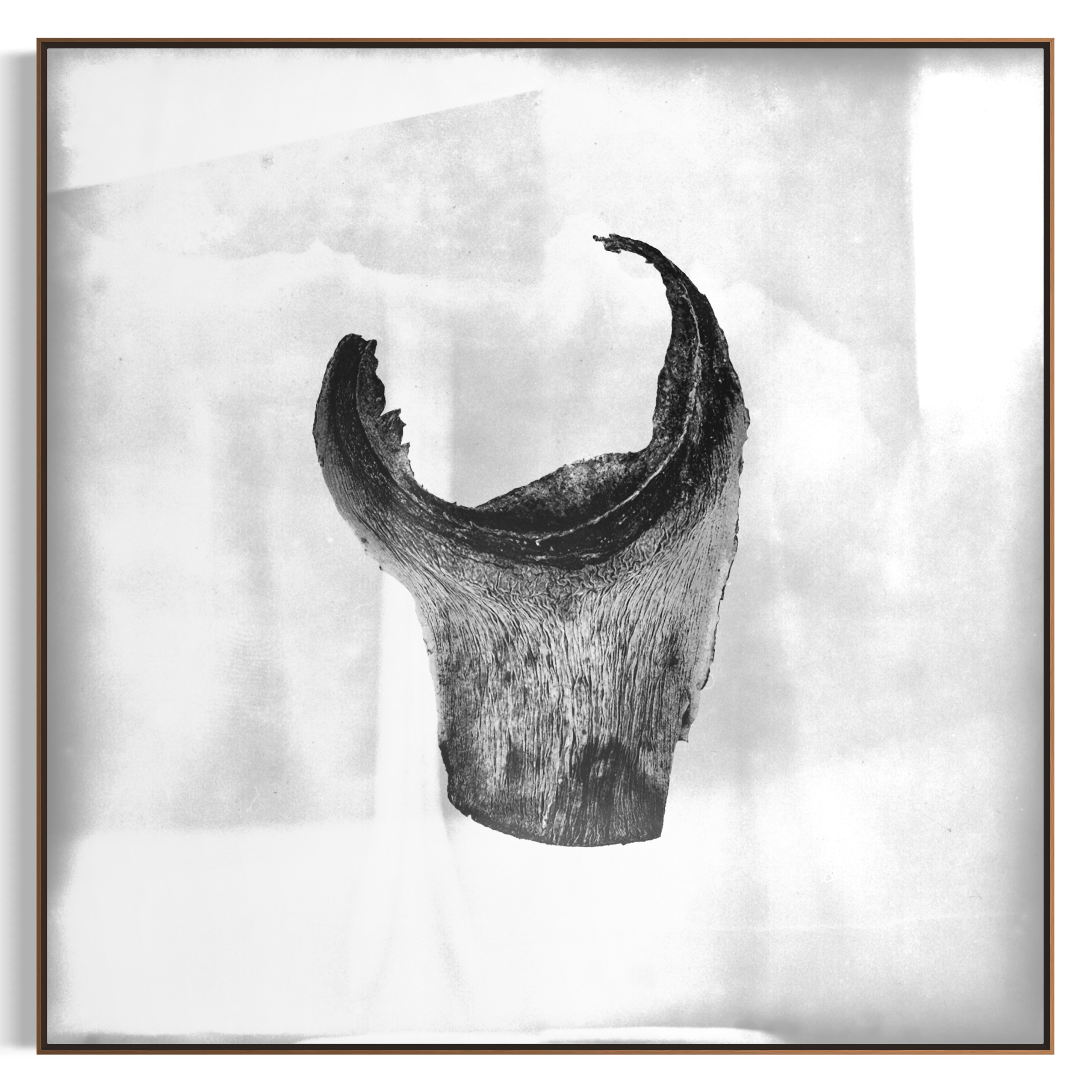 IMG_0705.PNG