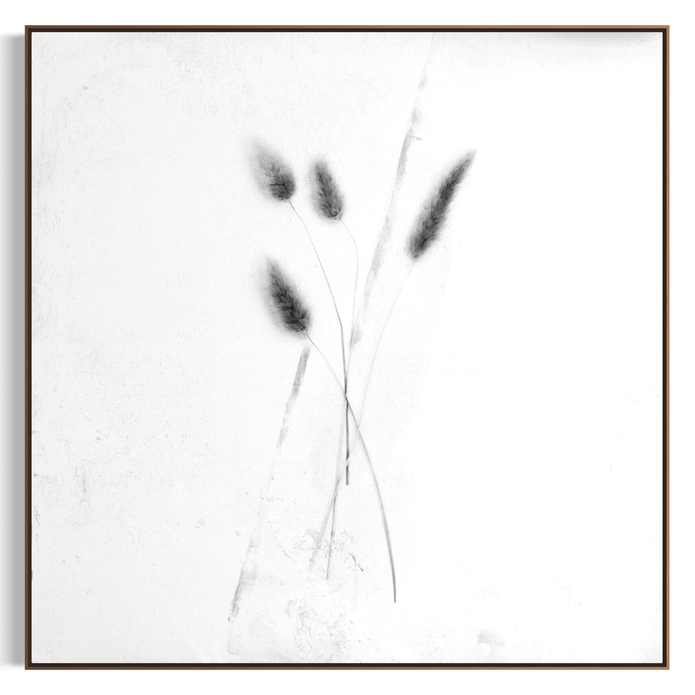 IMG_0708.PNG