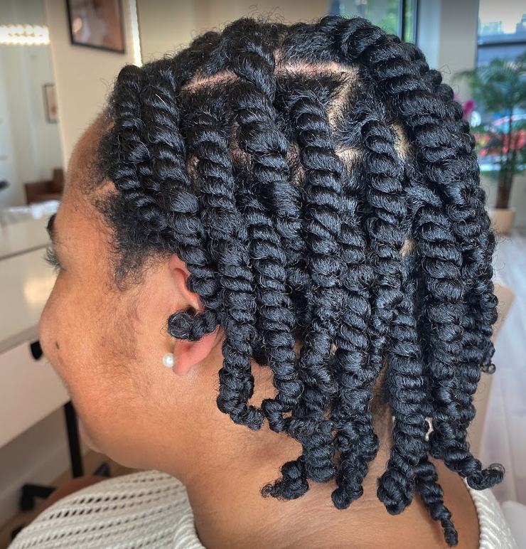 Enchanting Two Strand Twists