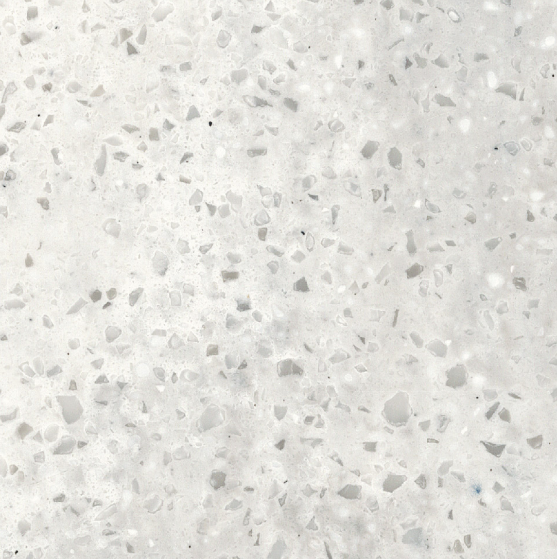 Arrowroot