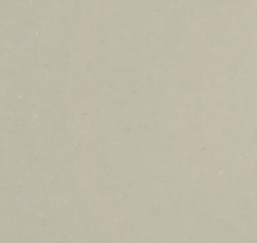 4101 Organic Dawn 