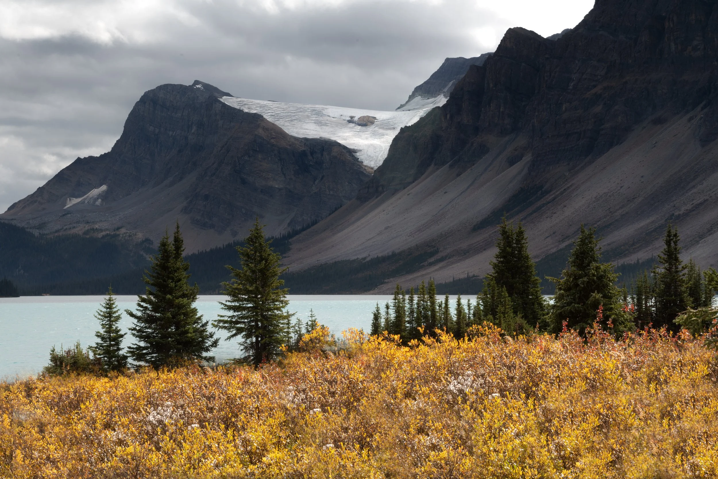 BC. (Copyright 2024 © peterclaphamphotography)