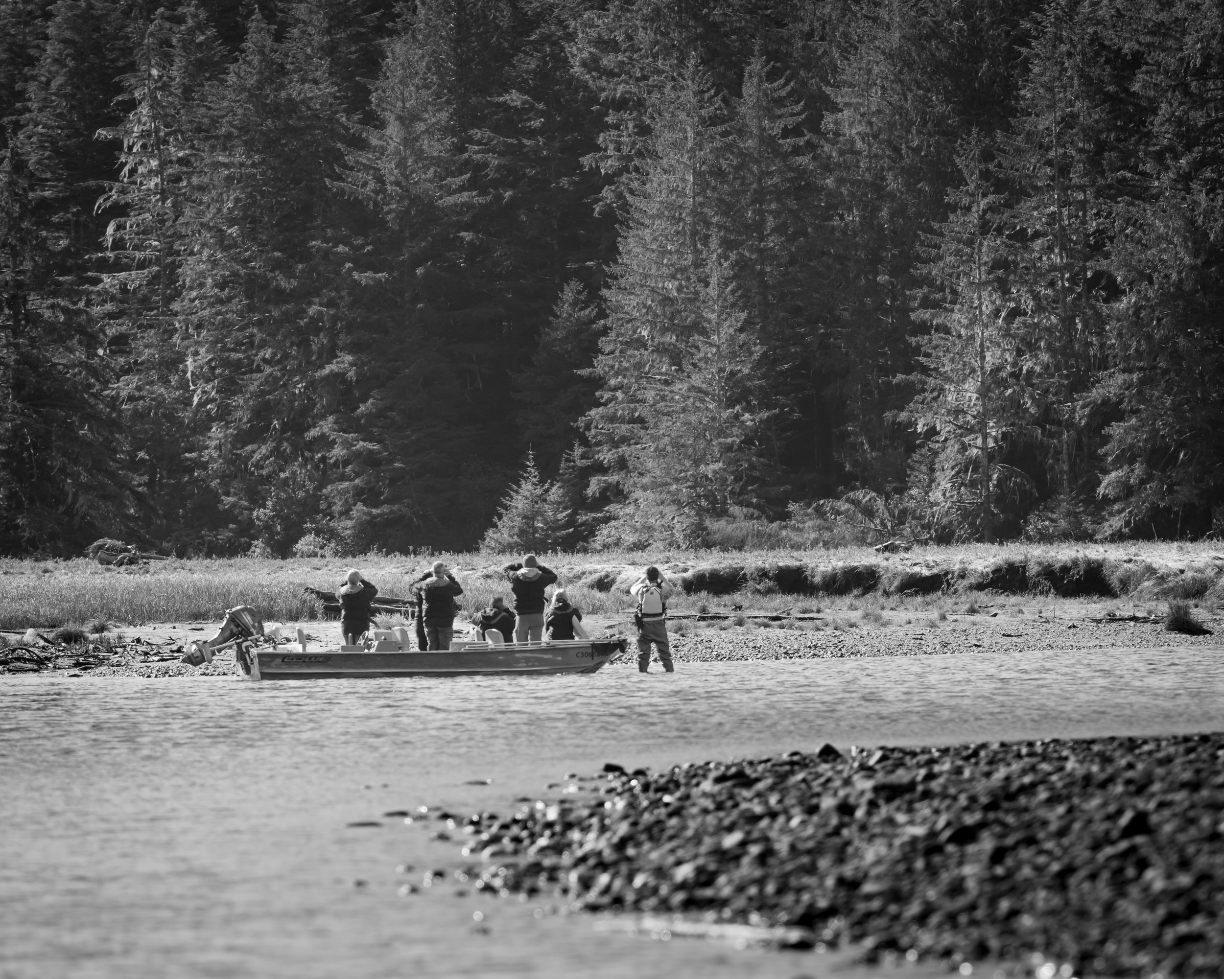 Watching for Bears, BC. (Copyright 2024 © peterclaphamphotography)