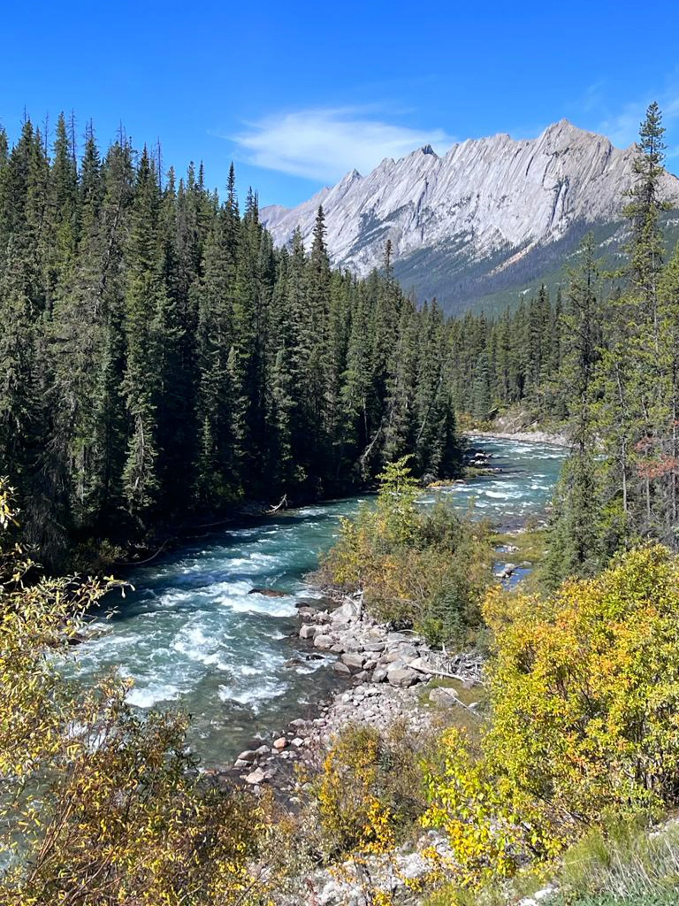 BC. (Copyright 2024 © peterclaphamphotography)