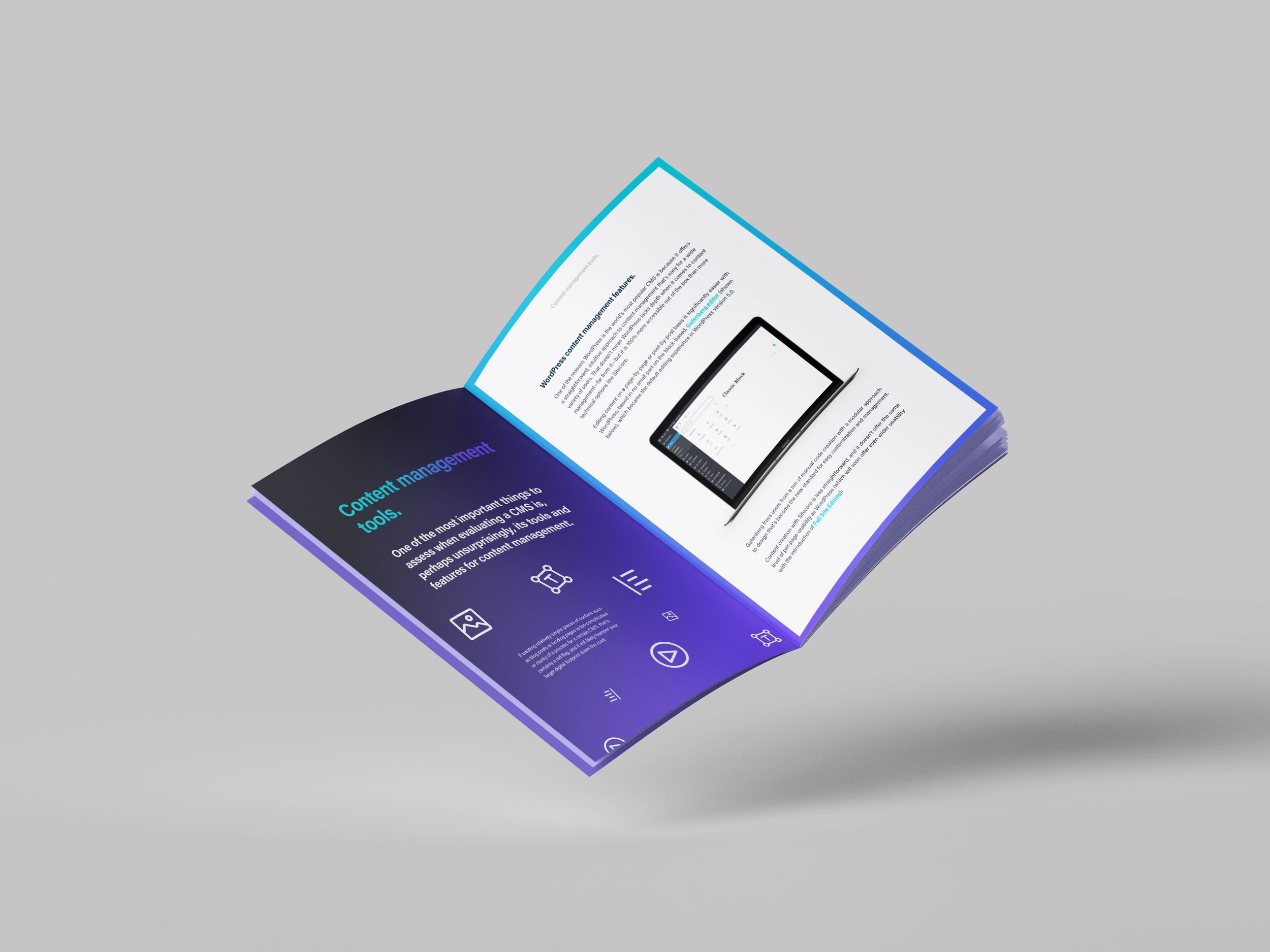 id-brochure-3.jpg