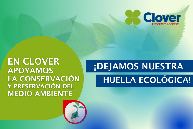 At Clover International we are committed to the environment.