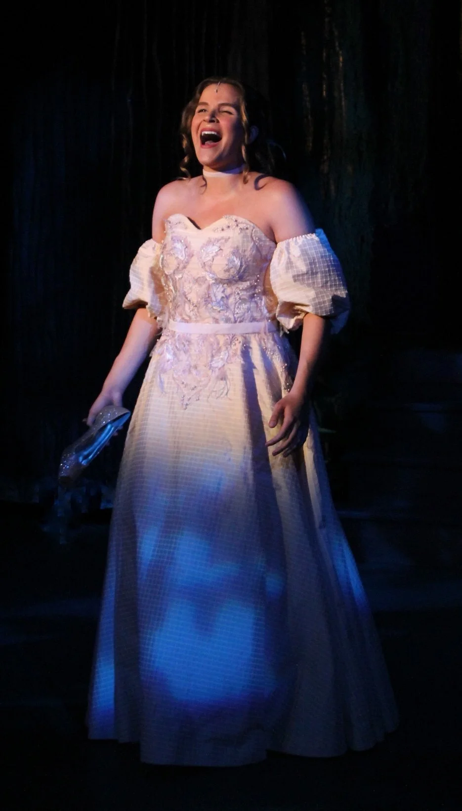 Front View of Cinderella Dress
Into the Woods
Costume Designer: Angelina Herin