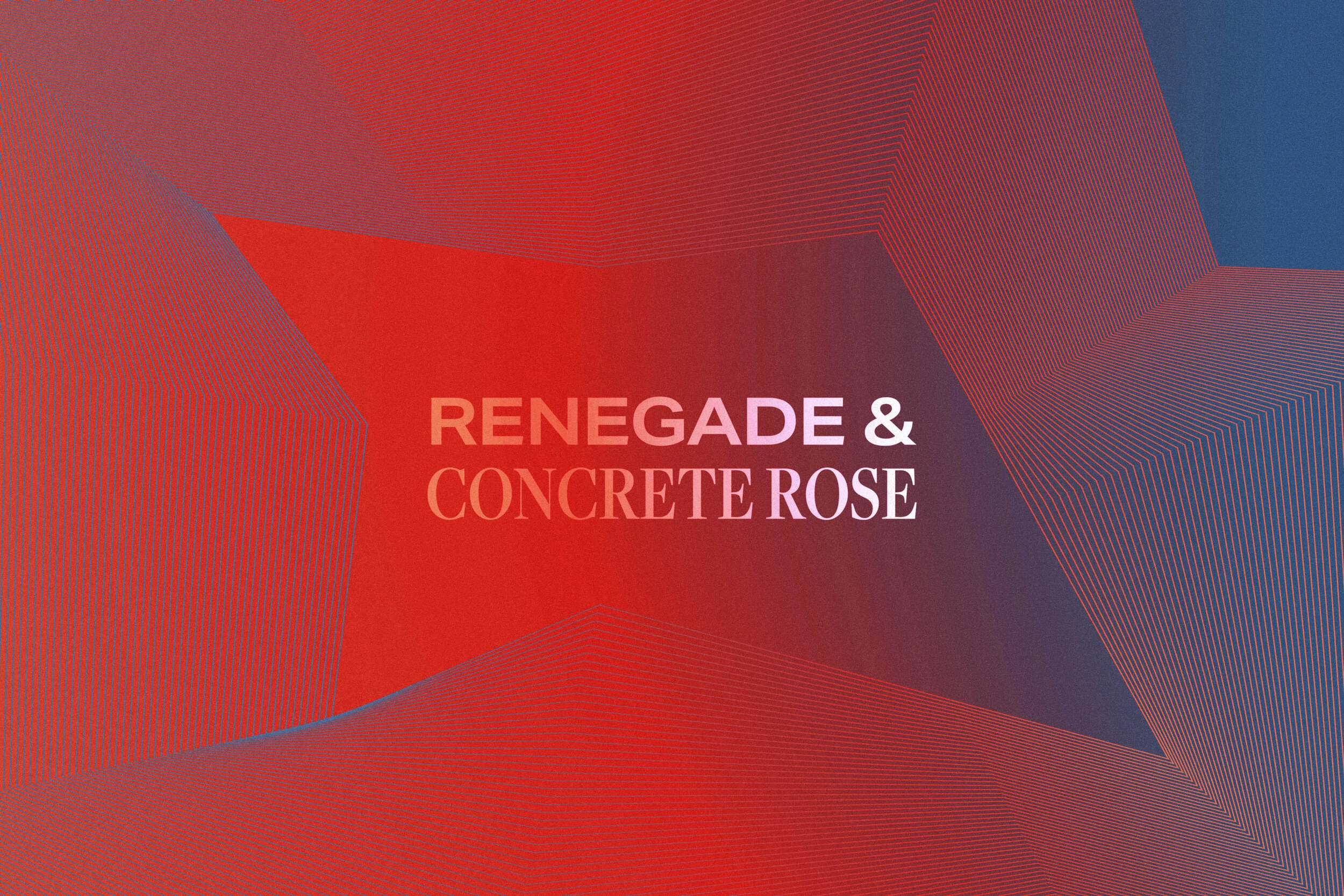 Renegade and Concrete Rose 