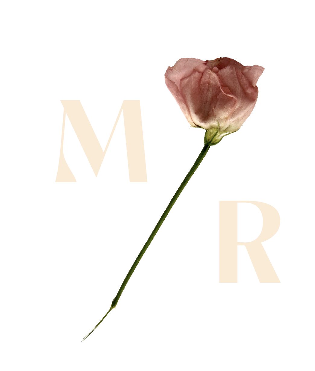 madeleinerose-logo-05.png