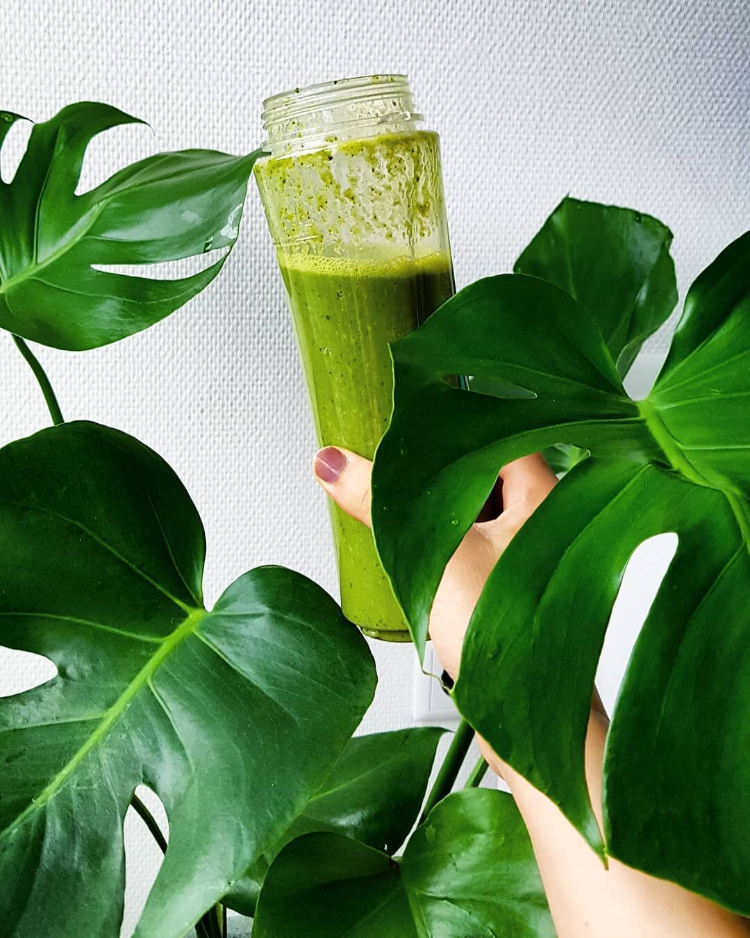 Don't forget to have your greens you all😋🍃🌿
.
I am having my green smoothie today with baby Spinach, banana, lemon, Matcha and a kiwi 🥝🍋🍌🍃🍵
.
How do you like to have your green smoothie? Share your recipe with us in the comment section below!