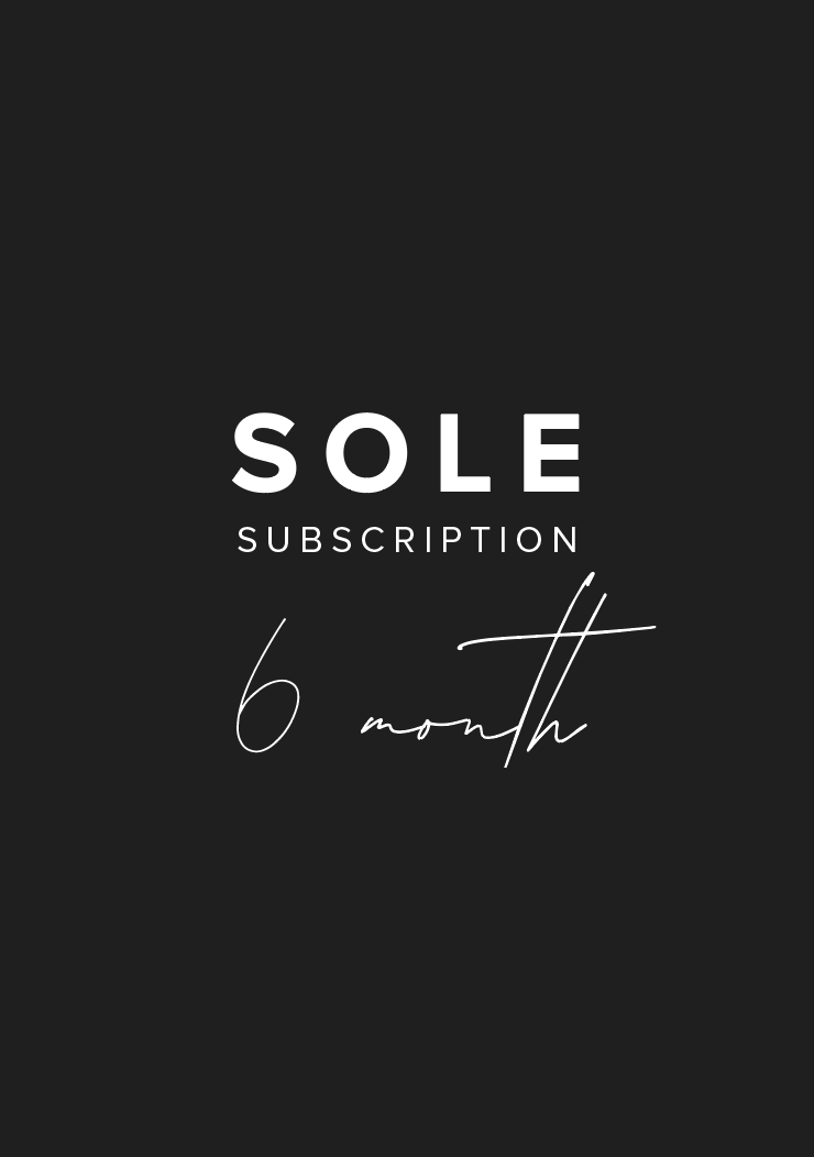6 month : Subscription