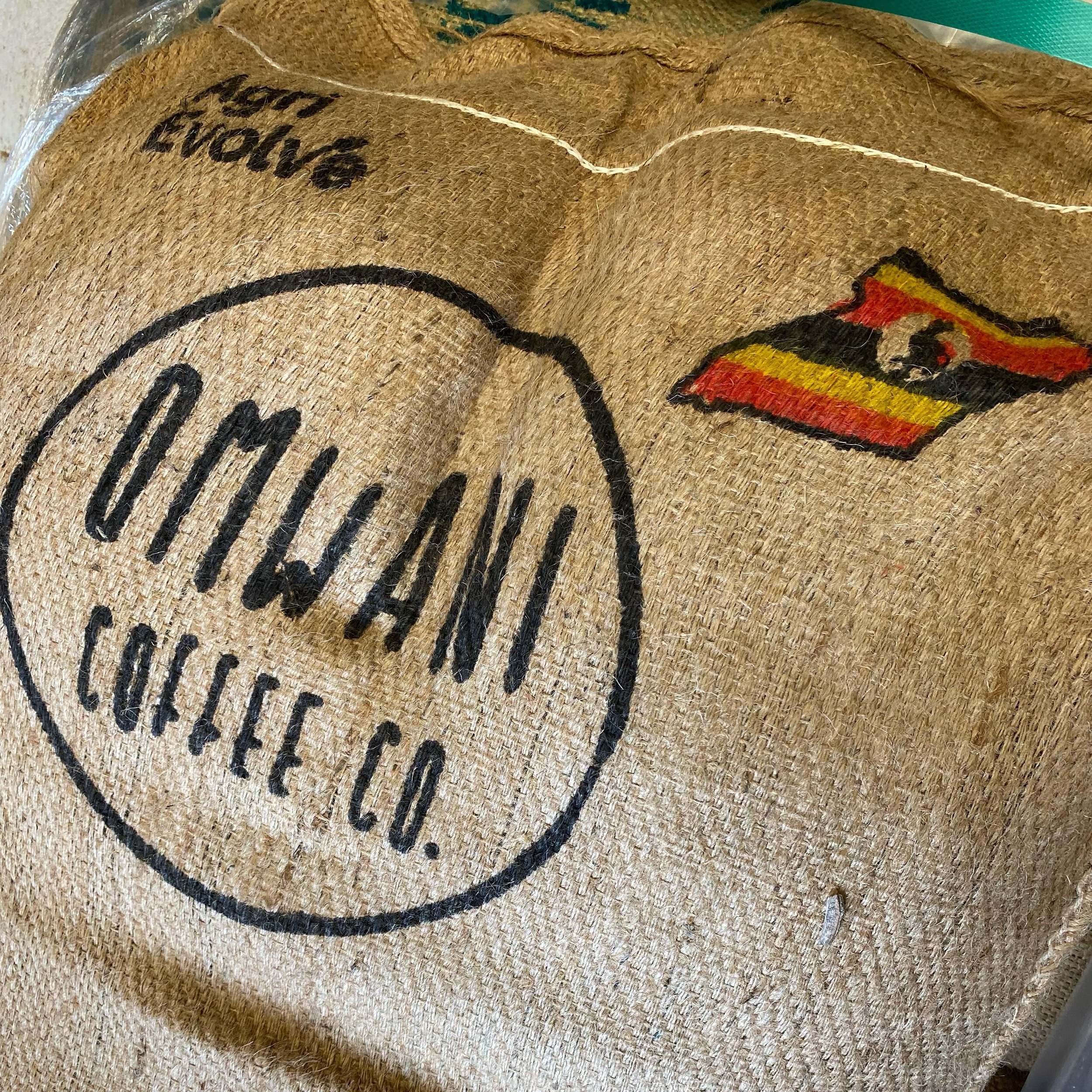 Bukonzo Dream is back in stock! Genevieve ~ time for you and Peter to do your thing! 🔥 🔥🔥
***NEW HARVEST ***
Great work @agri_evolve @omwanicoffee 🙏🏻🙏🏻

#bukonzodream 
#larsandmargocoffee 
#ugandancoffee 
#cornwall
#natural 
#coffeenerd 
#coff