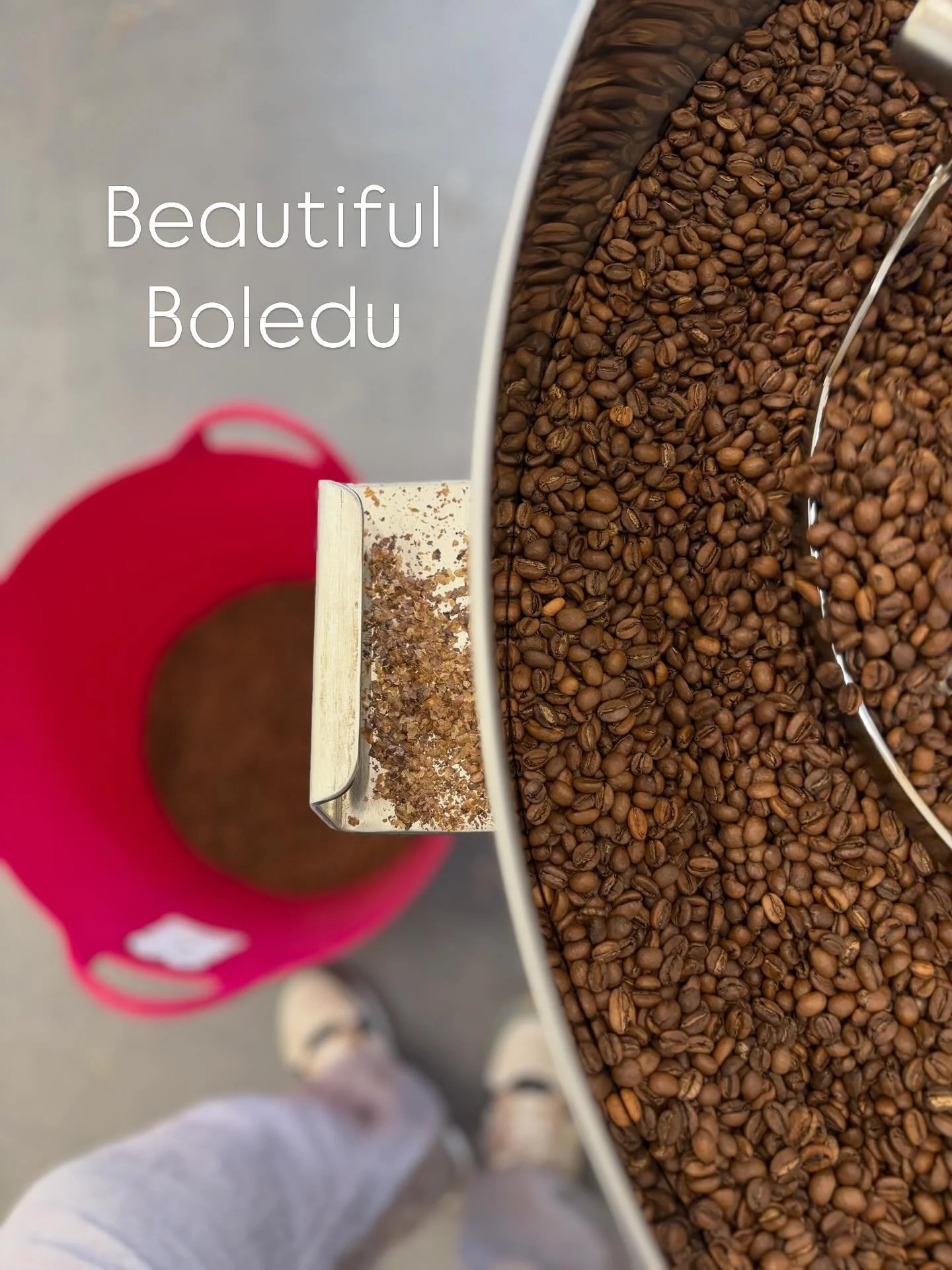 As a wonderful component to many of our espresso blends, bringing a natural sweetness and lingering after taste&hellip;

#espresso #larsandmargocoffee #naturalsweetness #coffee