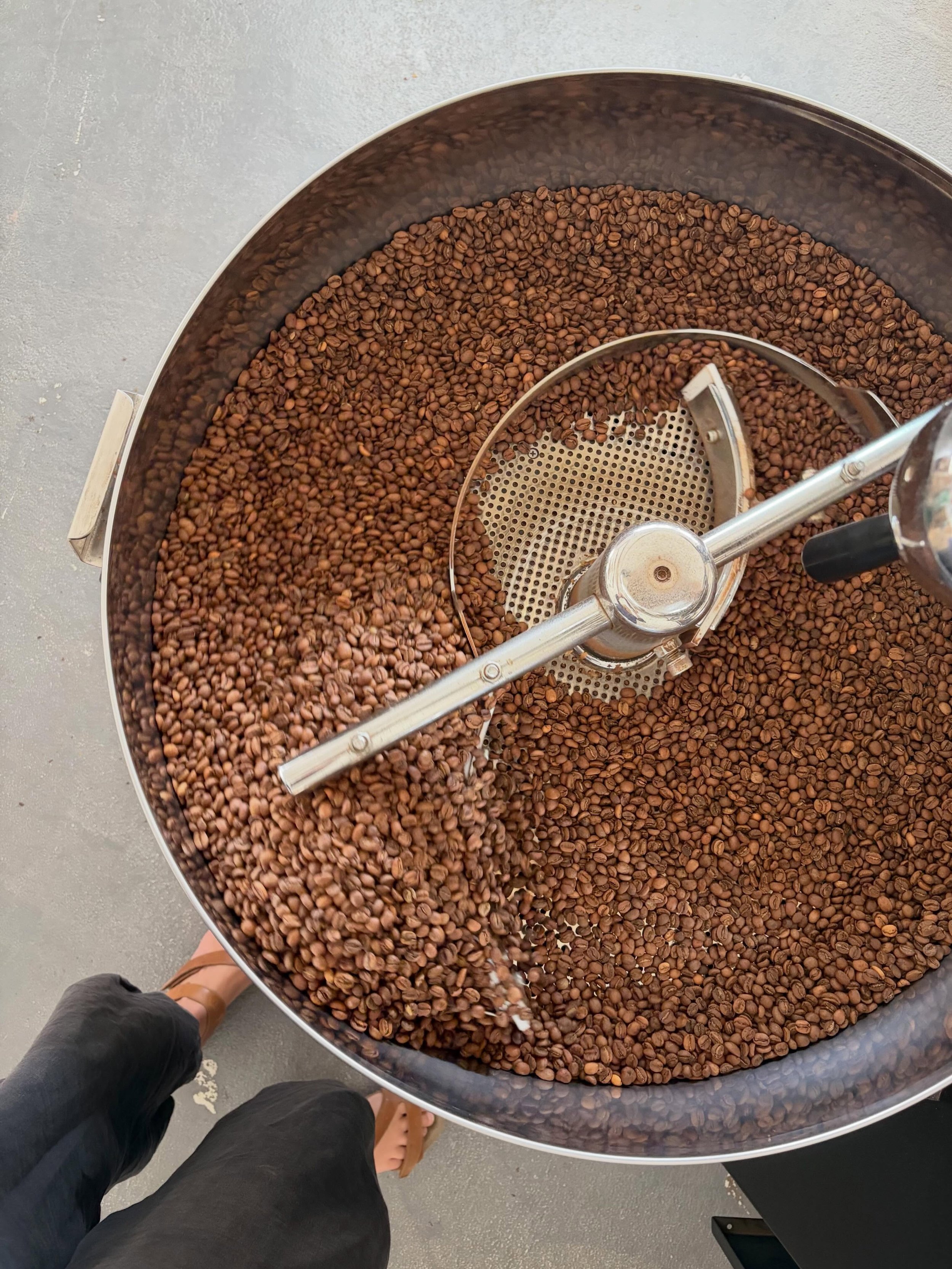First roast of the day- our new Blue Ayarza Washed from Guatemala, expecting some good flavours here ~ and we&rsquo;ll be bringing to market on Sunday&hellip; @royalwilliamyd 

Uploading to website over the weekend.

And of course you&rsquo;re welcom