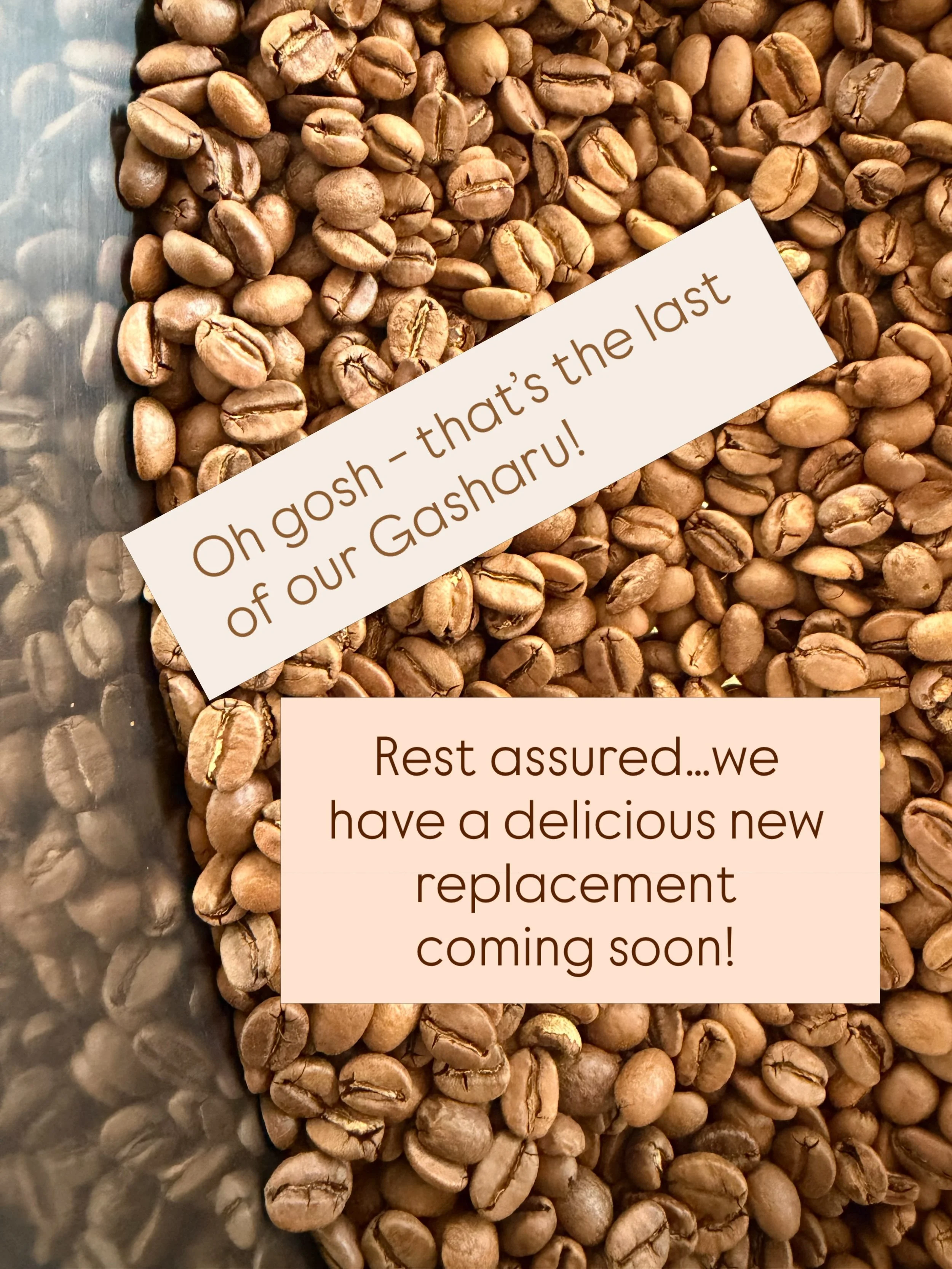 The fabulous Gasharu (Rwanda) has been a worthy bean for @lars.and.margo - with three roasting profiles it&rsquo;s been an incredibly sustainable bean too. We shall see what next year brings but look out for a new Ugandan coming in VERY soon to take 