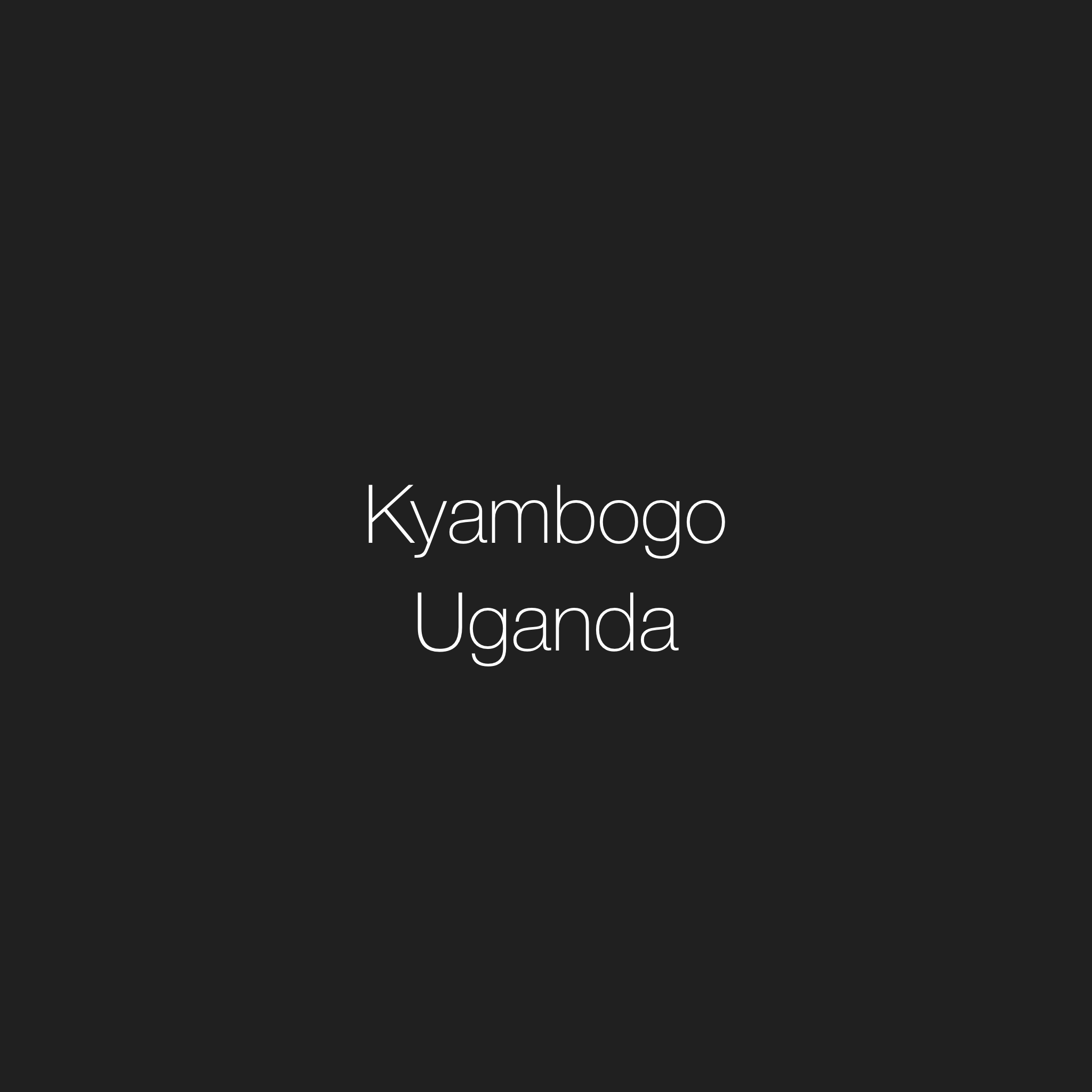 Kyambogo Uganda Sparkling Water Decaf Coffee | Toffee, Biscuit, Dark Chocolate