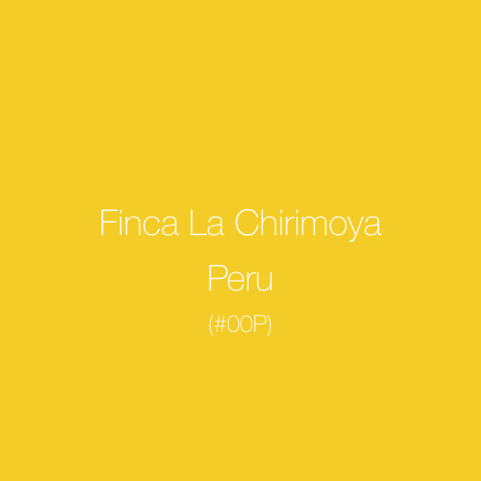 Peru - Finca La Chirimoya | Washed Yellow Bourbon | Extended fermentation