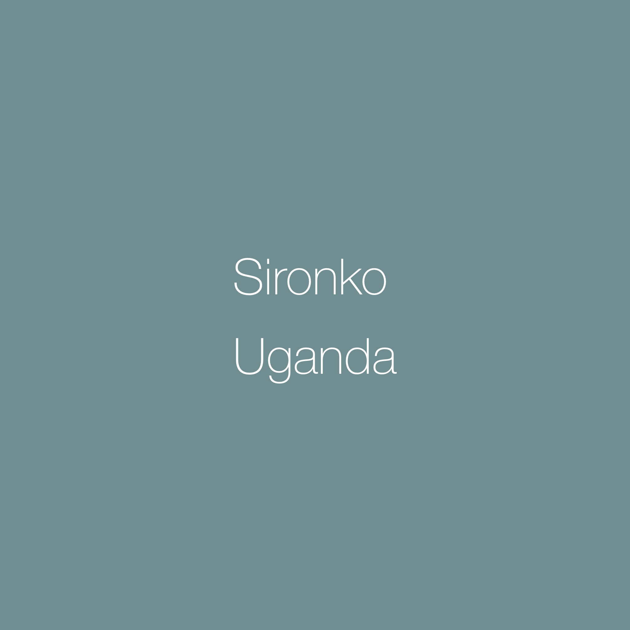 Sironko, Uganda | Washed | SL28 & SL34 | Red Apple, Strawberry & Milk Chocolate