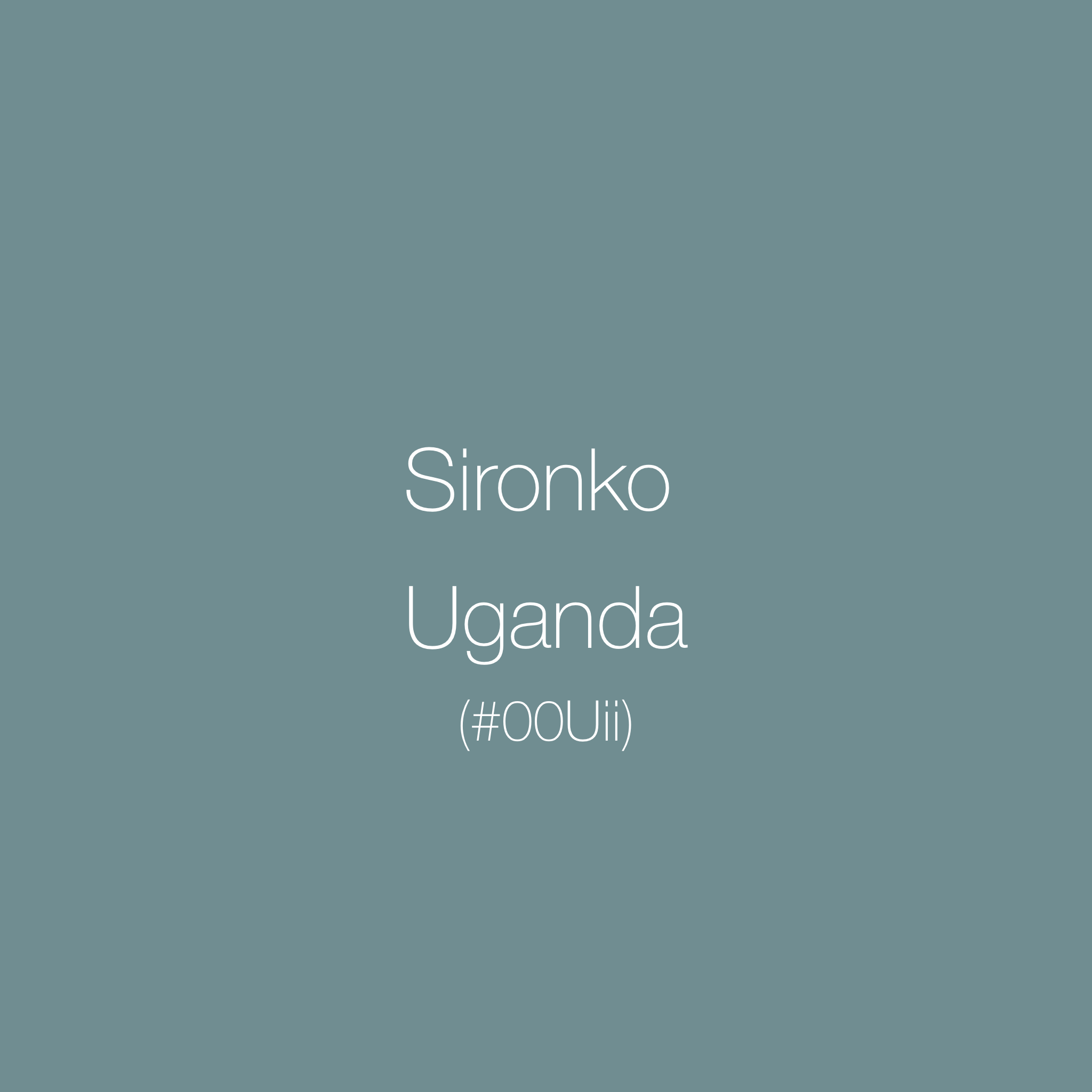 Sironko, Uganda | Washed | SL28 & SL34 | Red Apple, Strawberry & Milk Chocolate