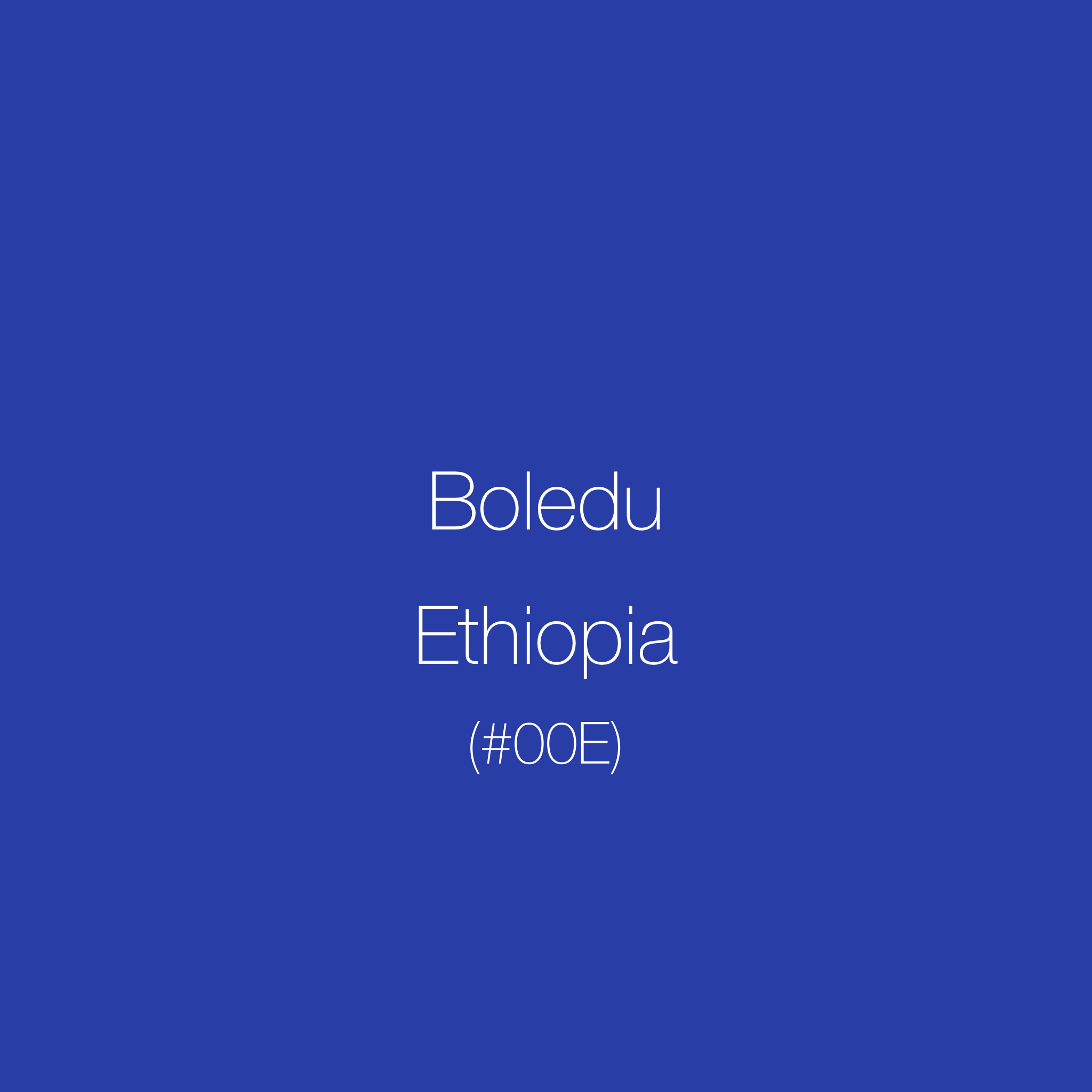 Ethiopia - Boledu Coffee | Natural Sun Dried | Aricha Grade 1 | Raspberry, Vanilla, Cacao