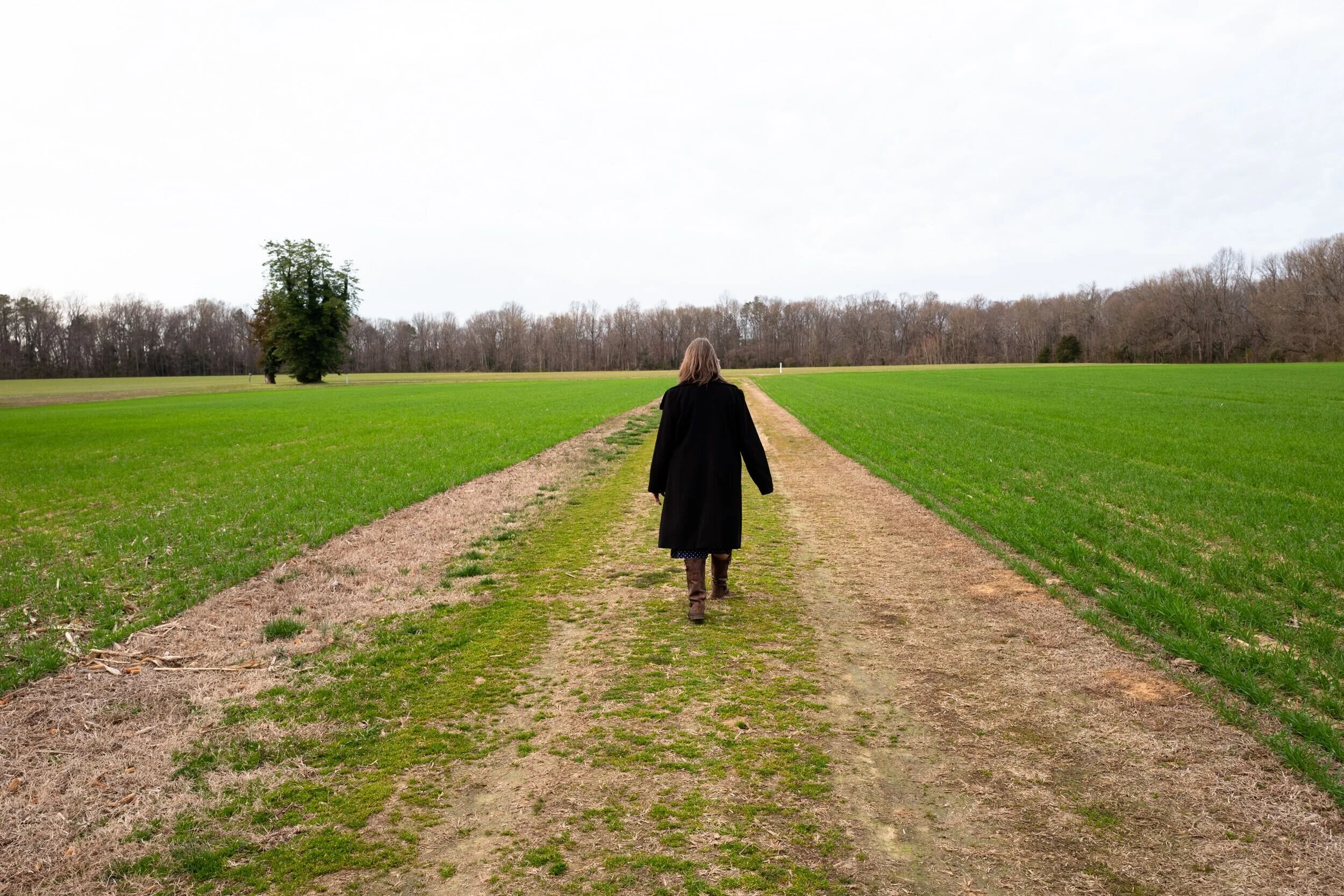 Artists in their Element