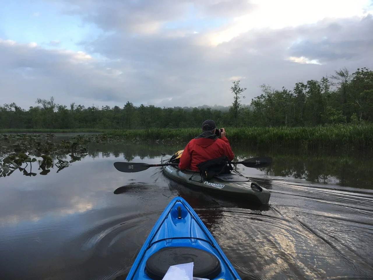 Sunrise on Cat Point Creek