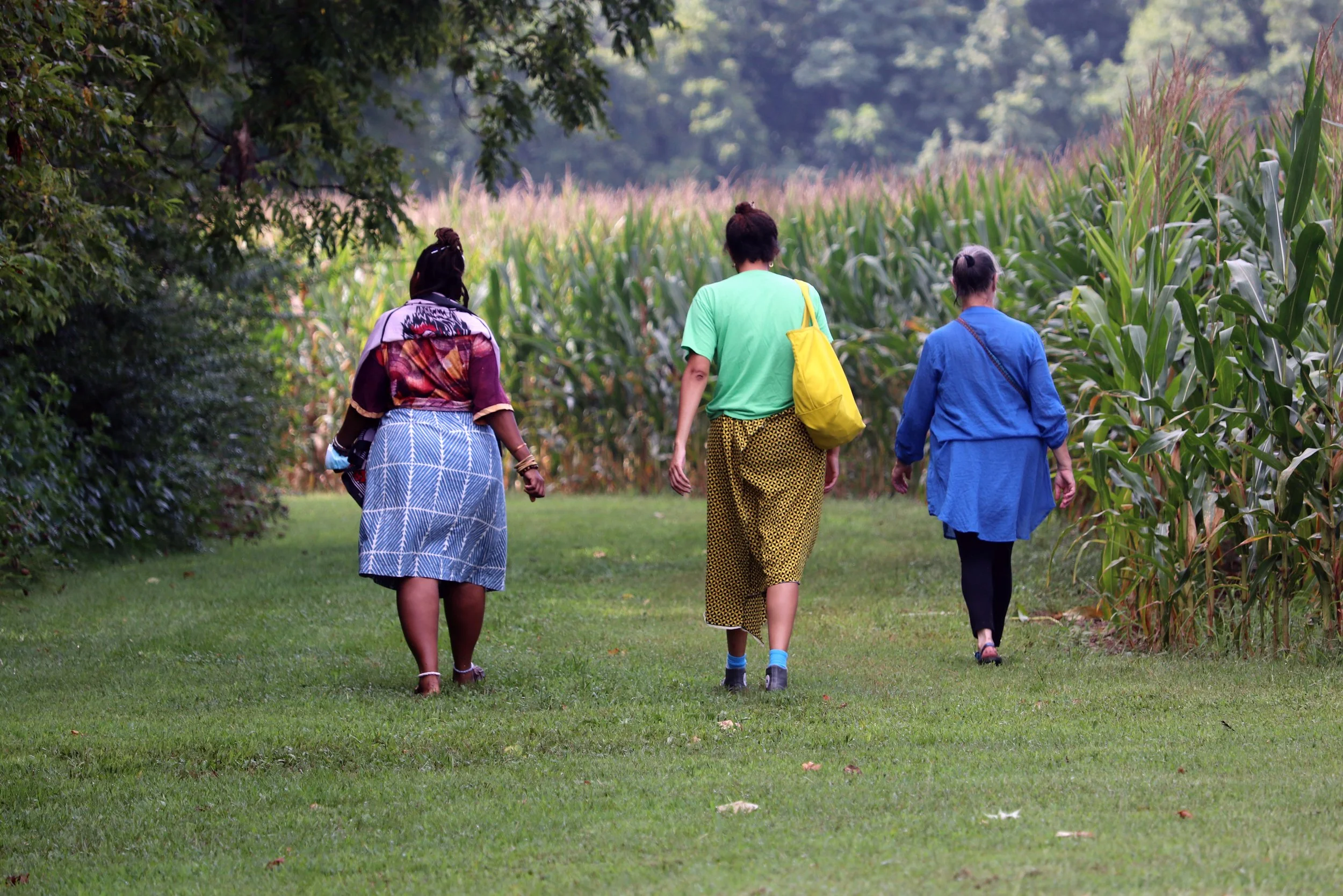 Menokin Elements and the ICA